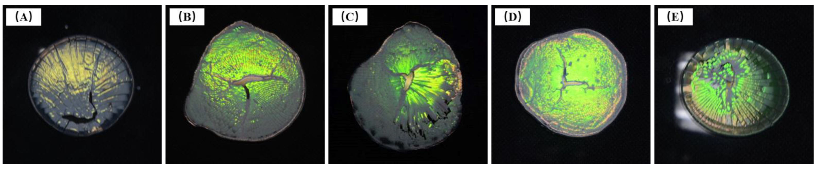 Coatings 12 01520 g003