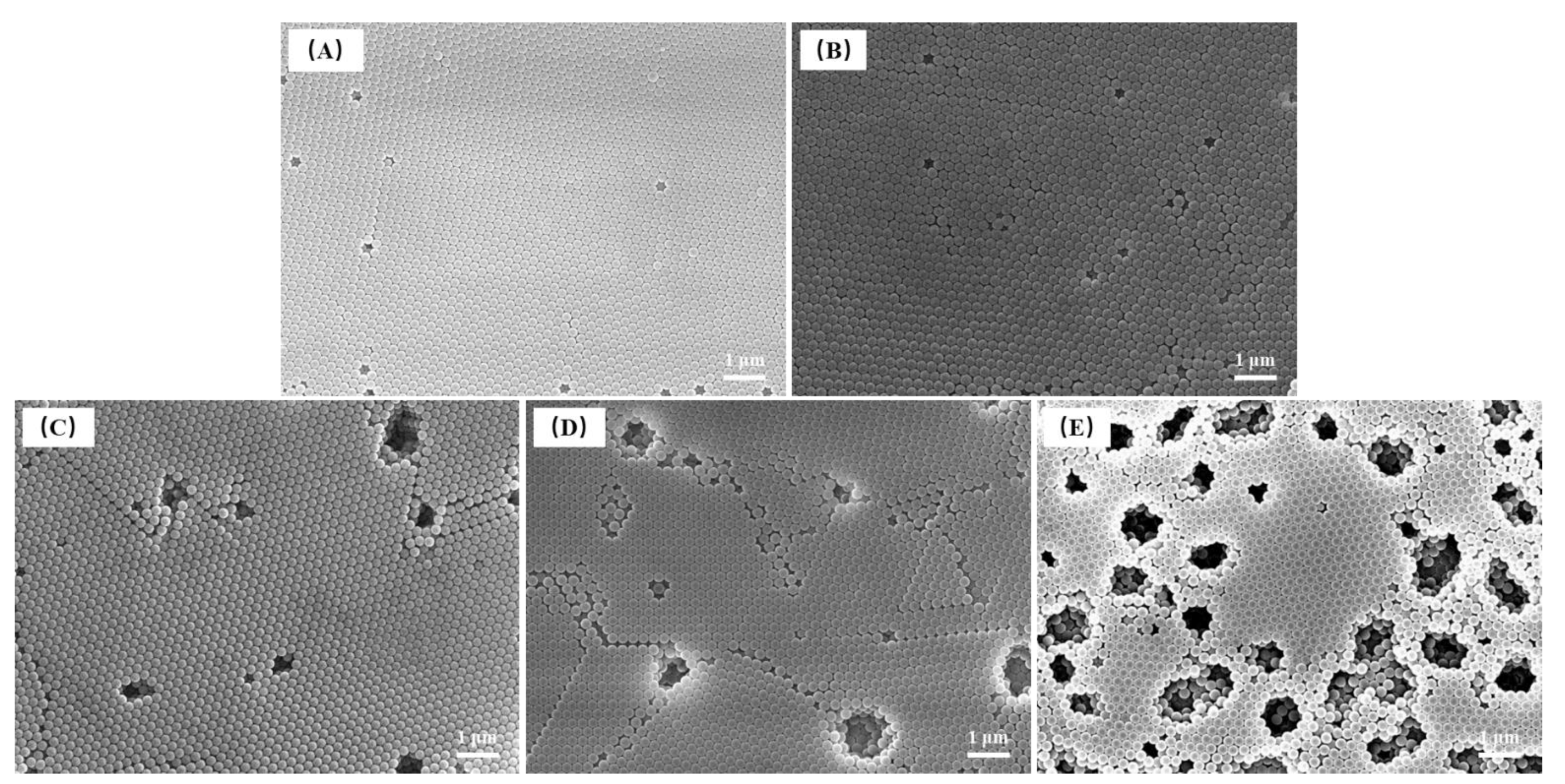 Coatings 12 01520 g005