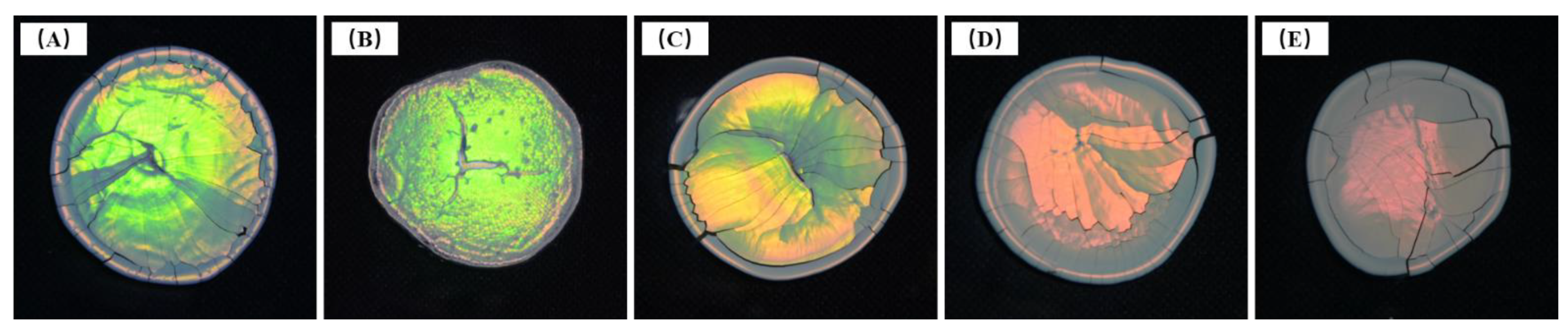 Coatings 12 01520 g006