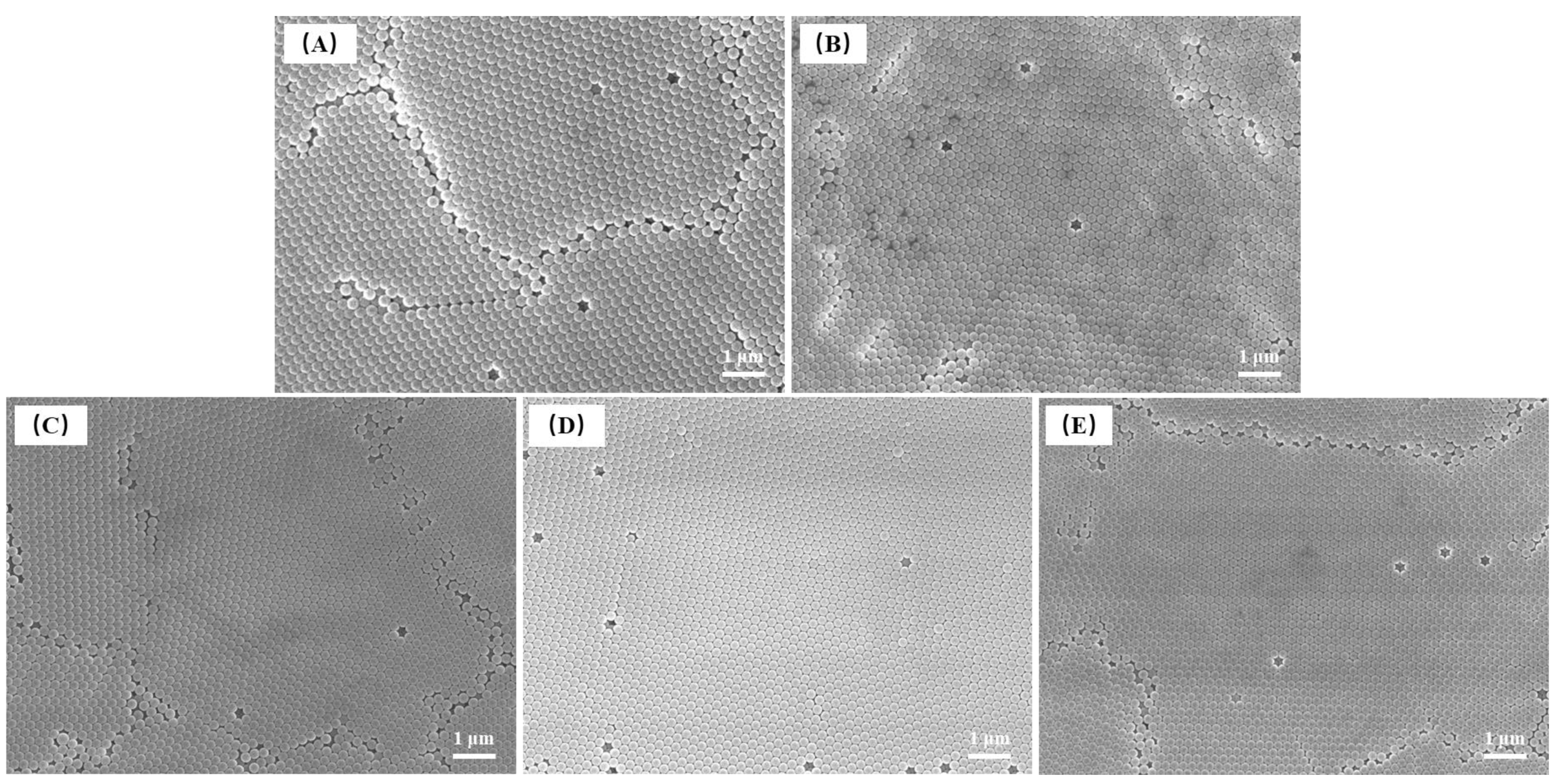 Coatings 12 01520 g008