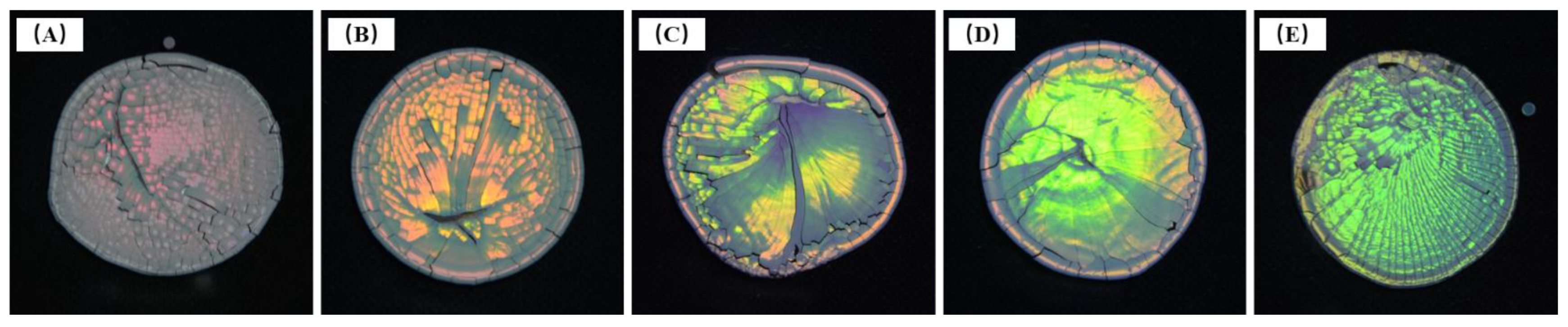 Coatings 12 01520 g009