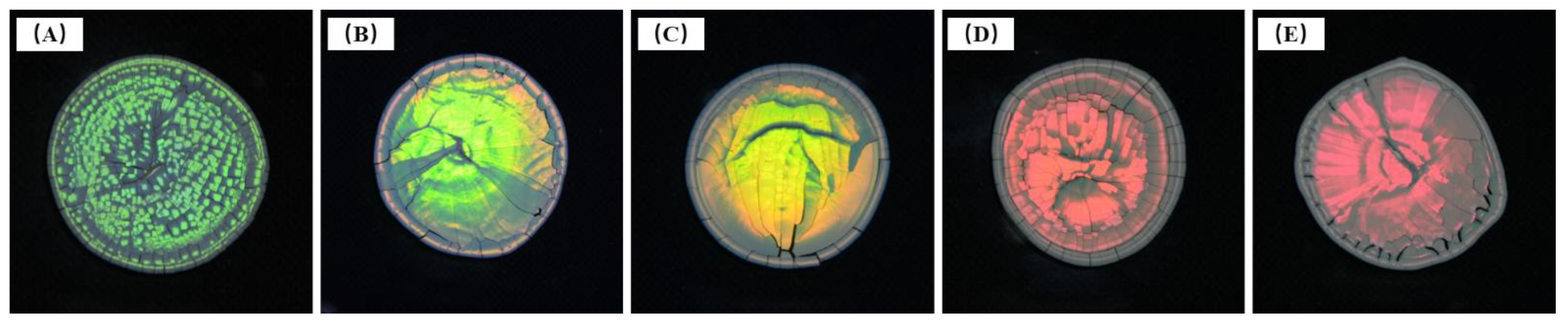 Coatings 12 01520 g012