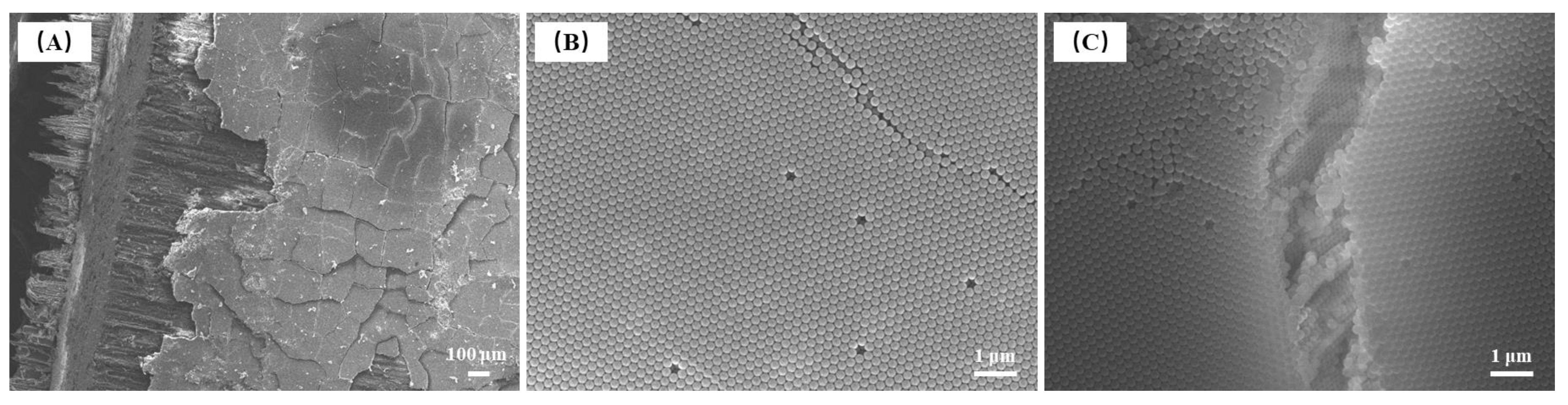 Coatings 12 01520 g020