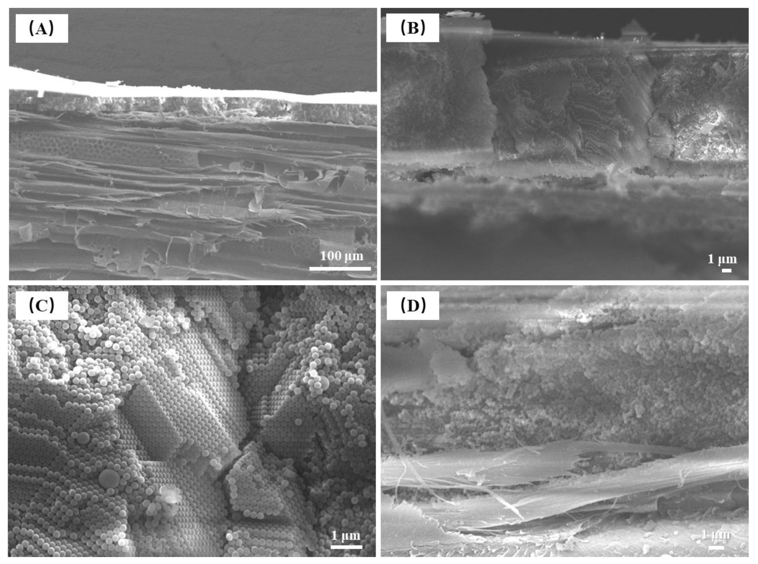 Coatings 12 01520 g021