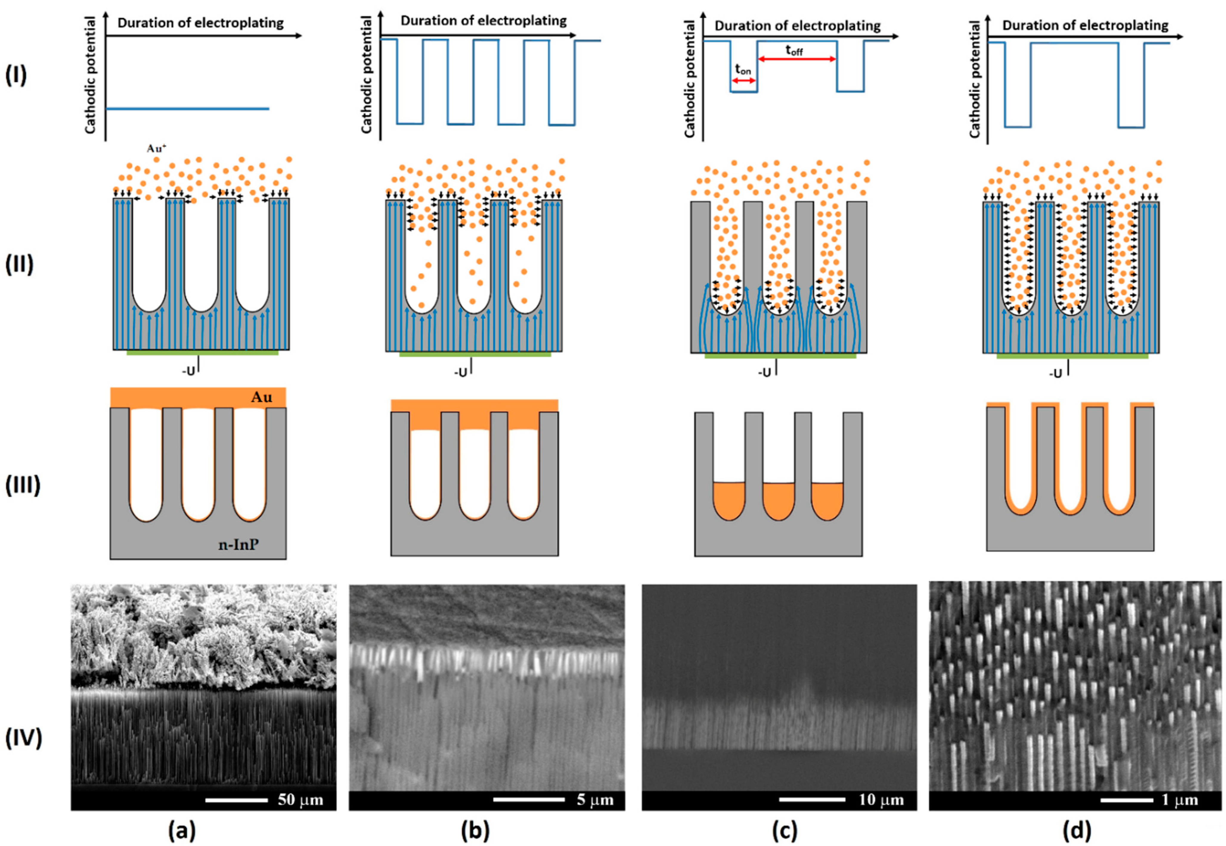Coatings 12 01521 g003 Coatings 12 01521 g003
