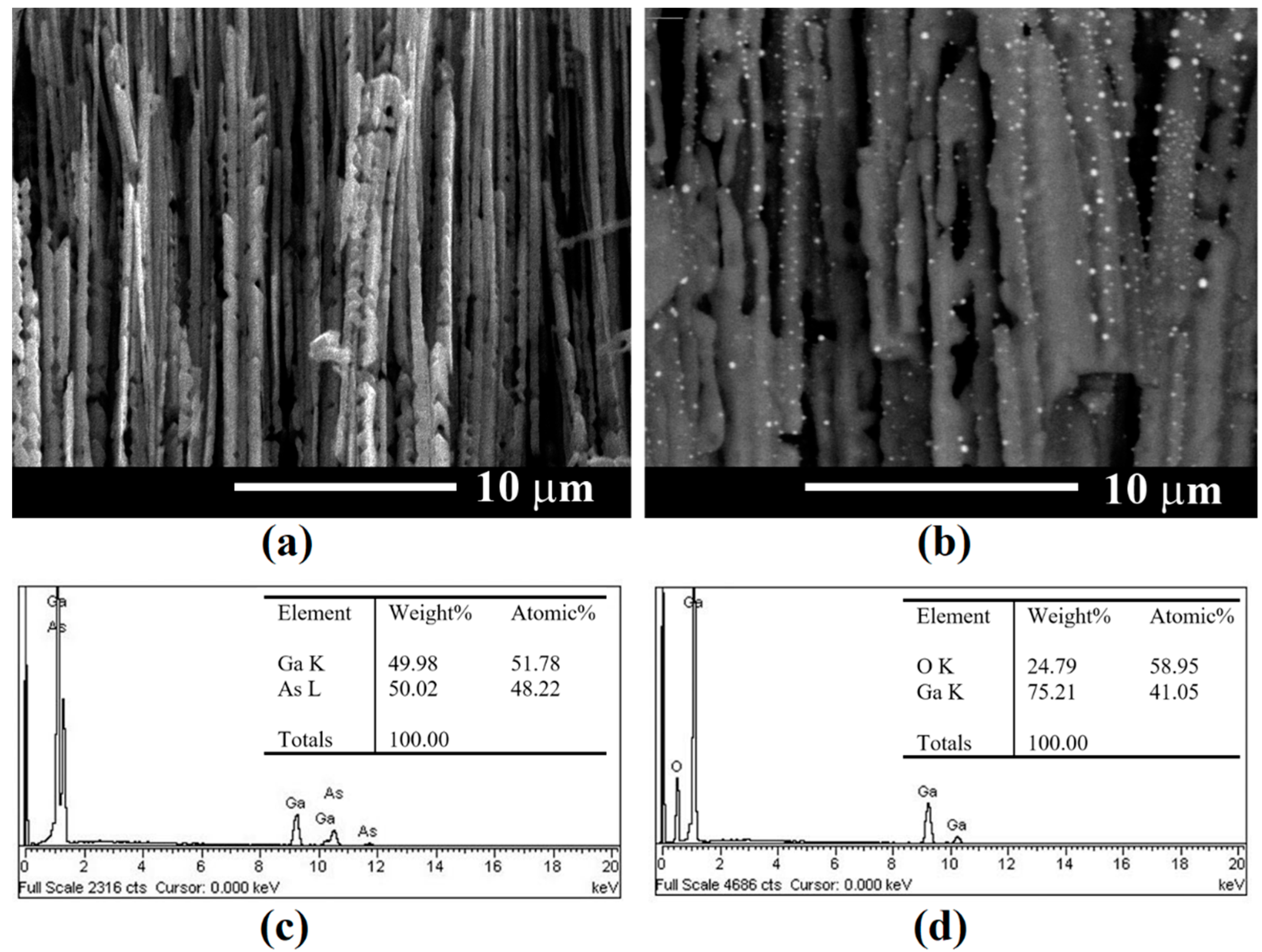 Coatings 12 01521 g006 Coatings 12 01521 g006