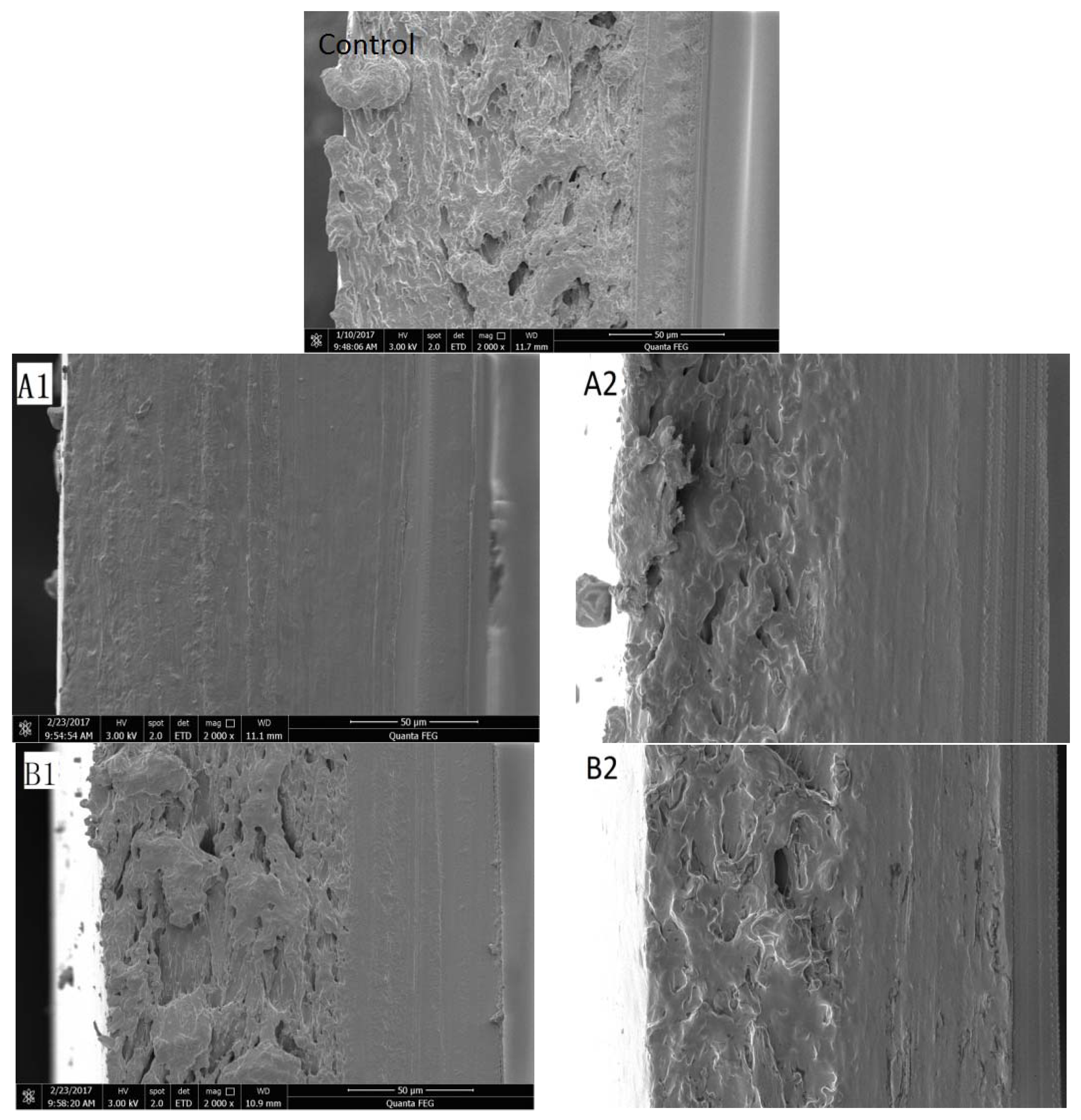 Coatings 12 01524 g005a Coatings 12 01524 g005a