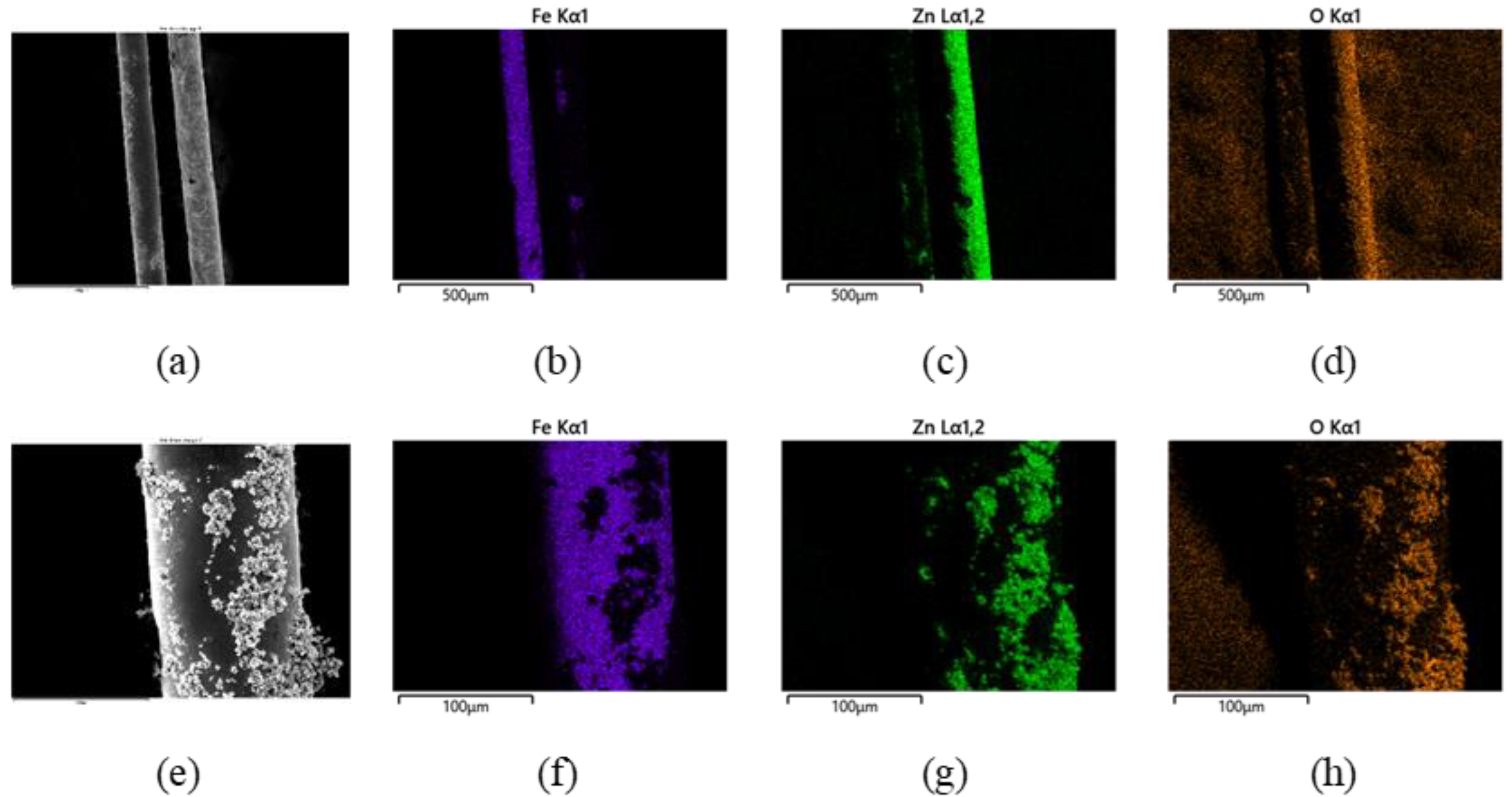 Coatings 12 01527 g007
