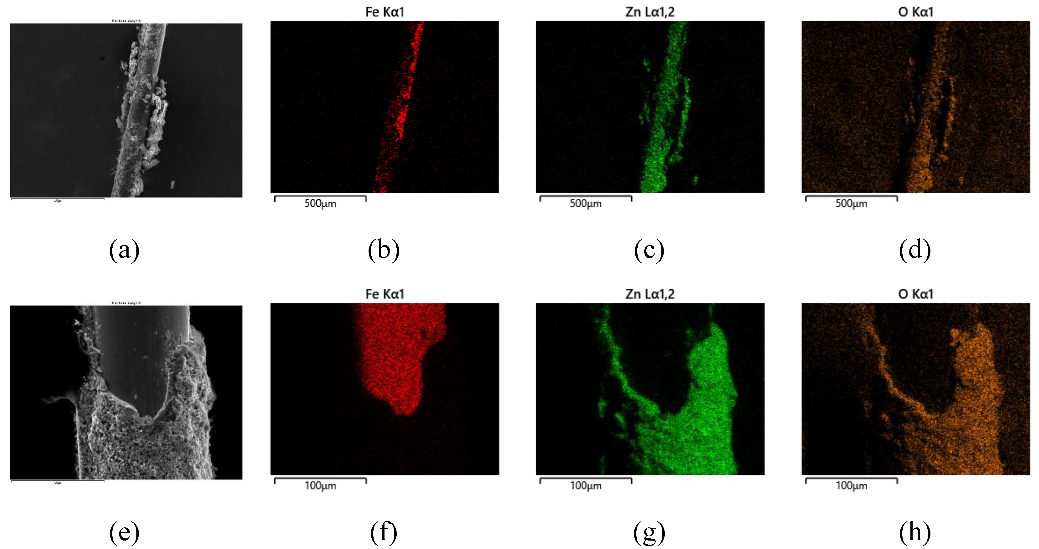 Coatings 12 01527 g008