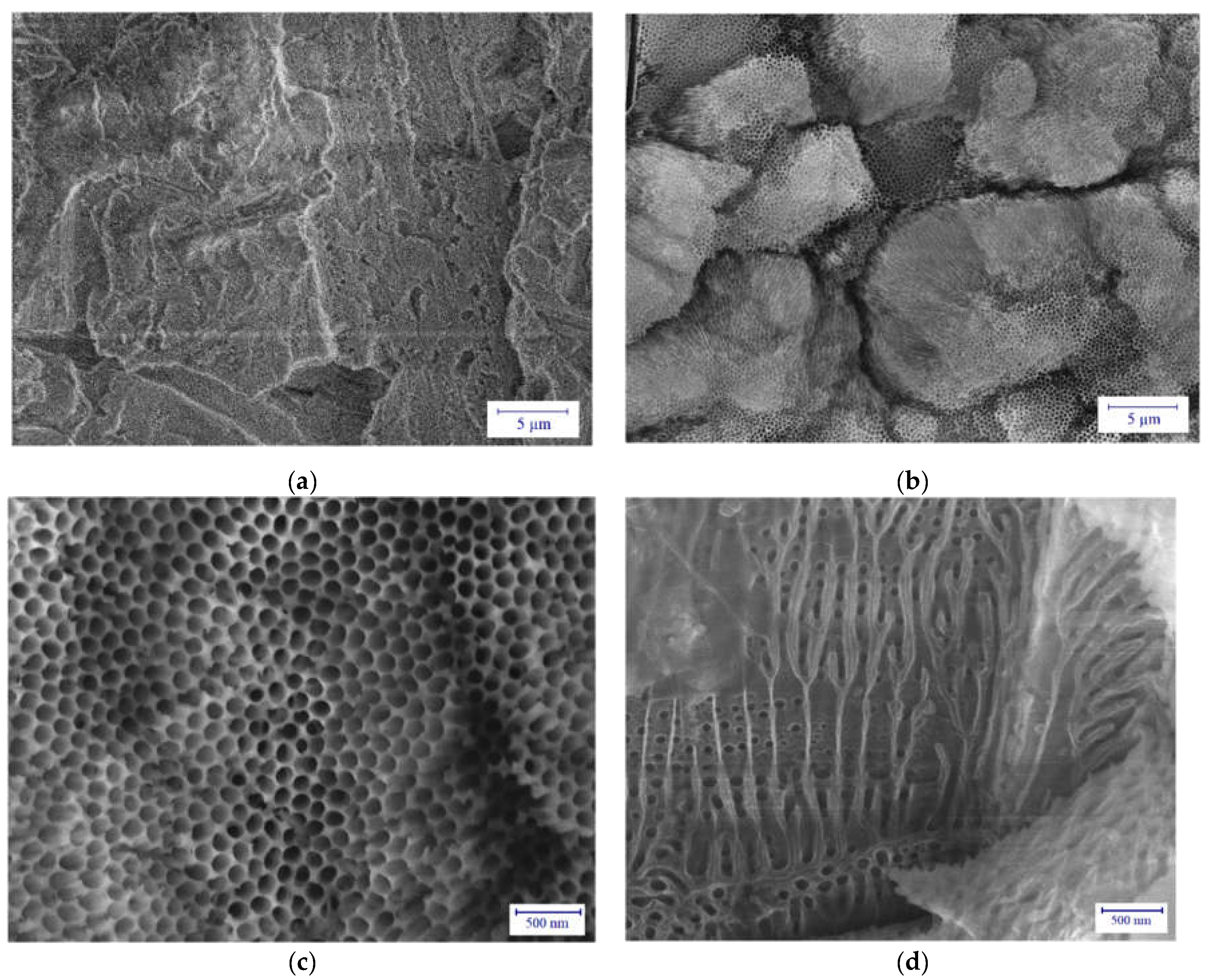 Coatings 12 01528 g005 Coatings 12 01528 g005