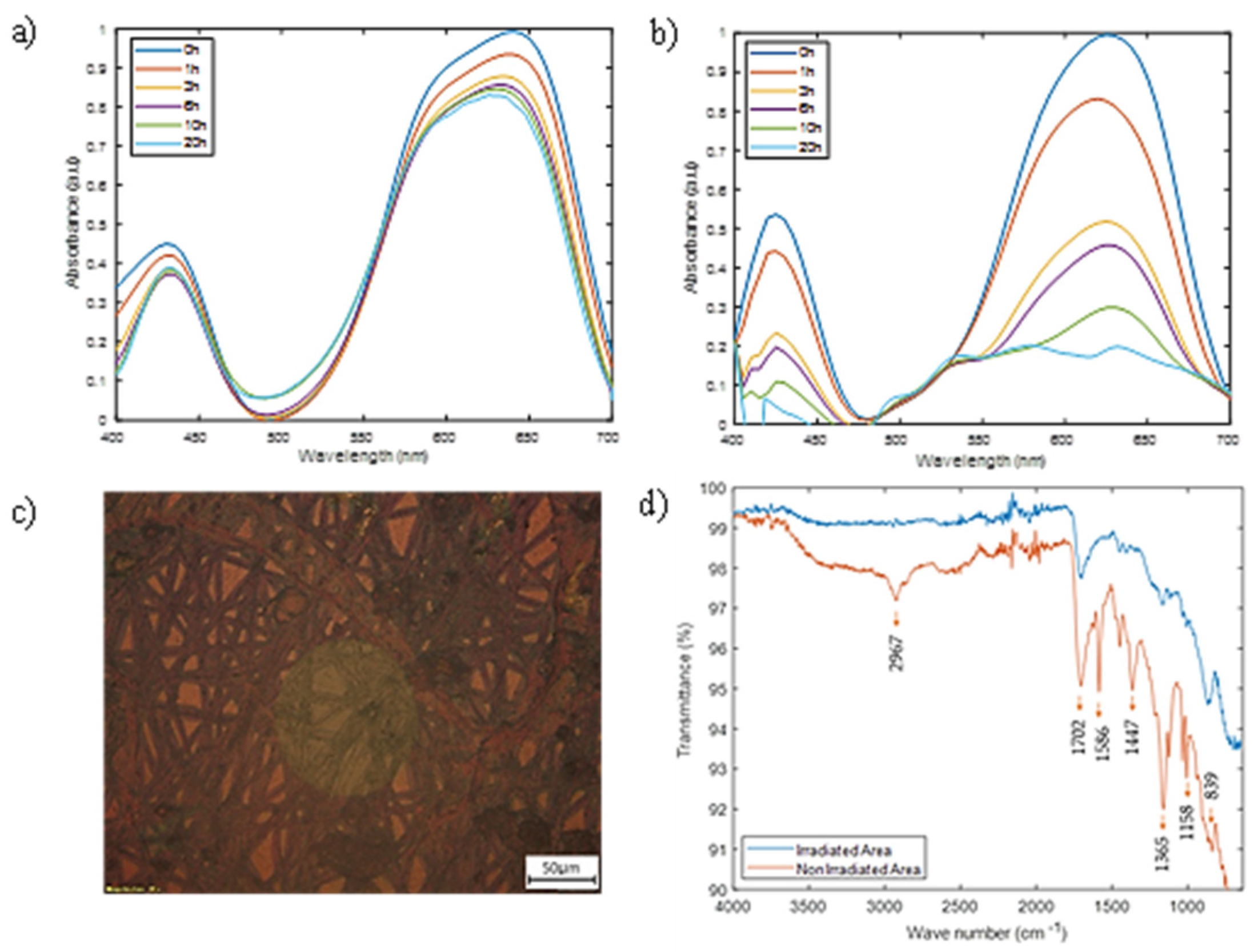 Coatings 12 01529 g008