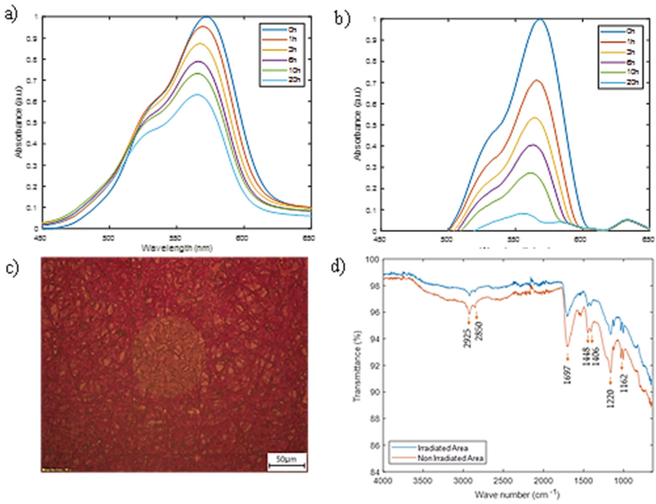 Coatings 12 01529 g009