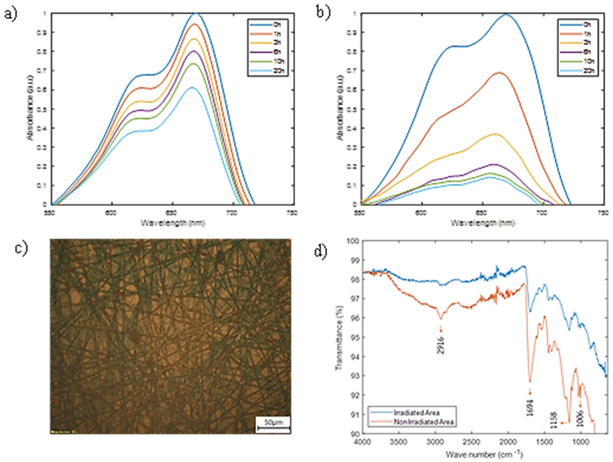 Coatings 12 01529 g010