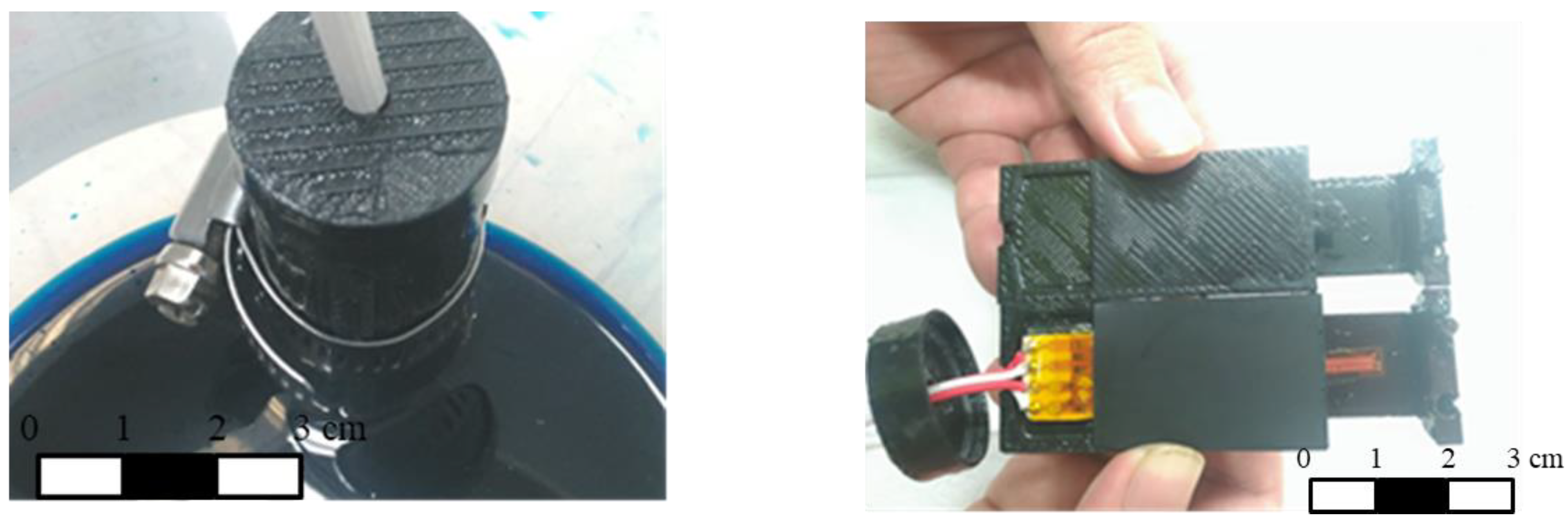 Coatings 12 01531 g006