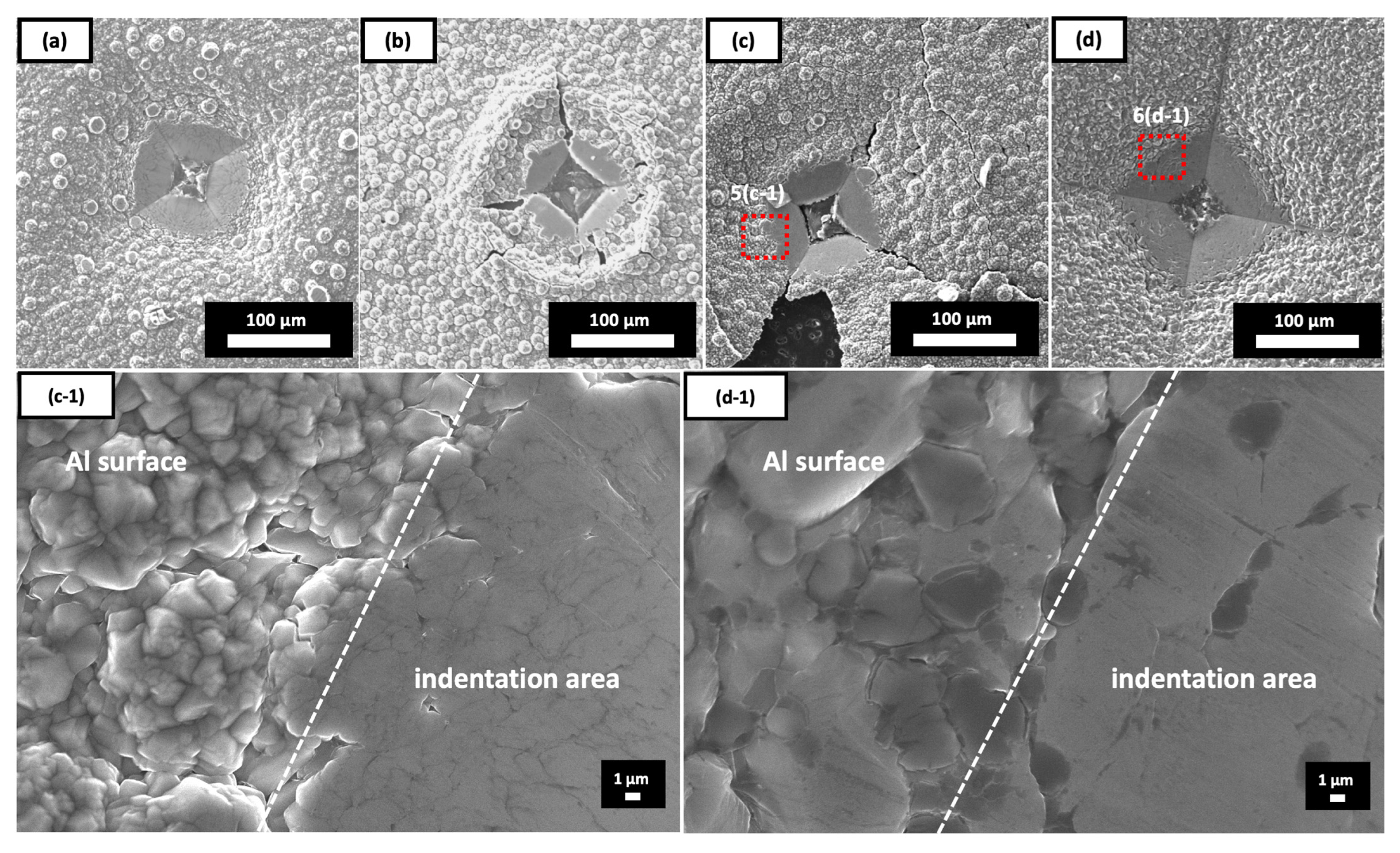 Coatings 12 01535 g005