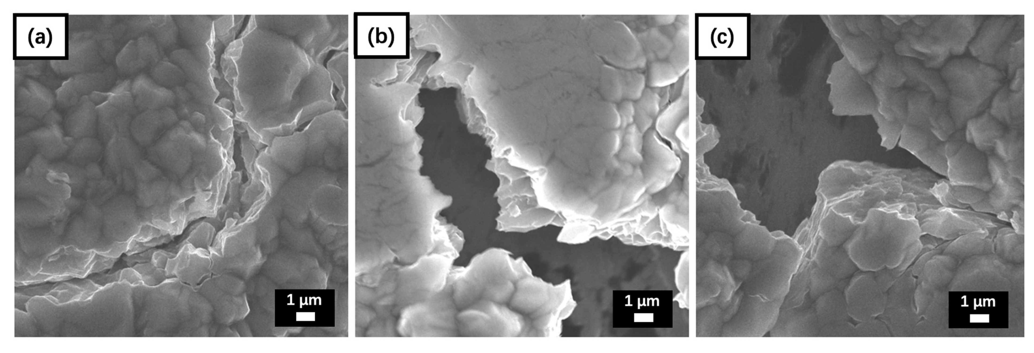 Coatings 12 01535 g007a