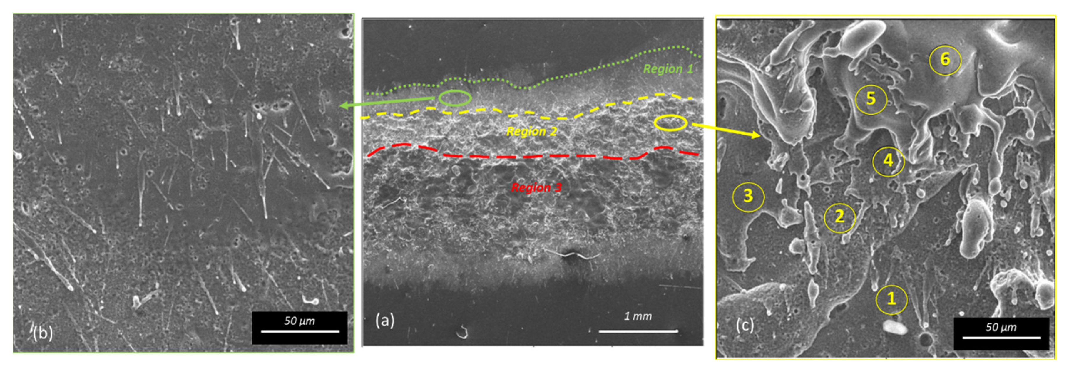 Coatings 12 01536 g005 Coatings 12 01536 g005