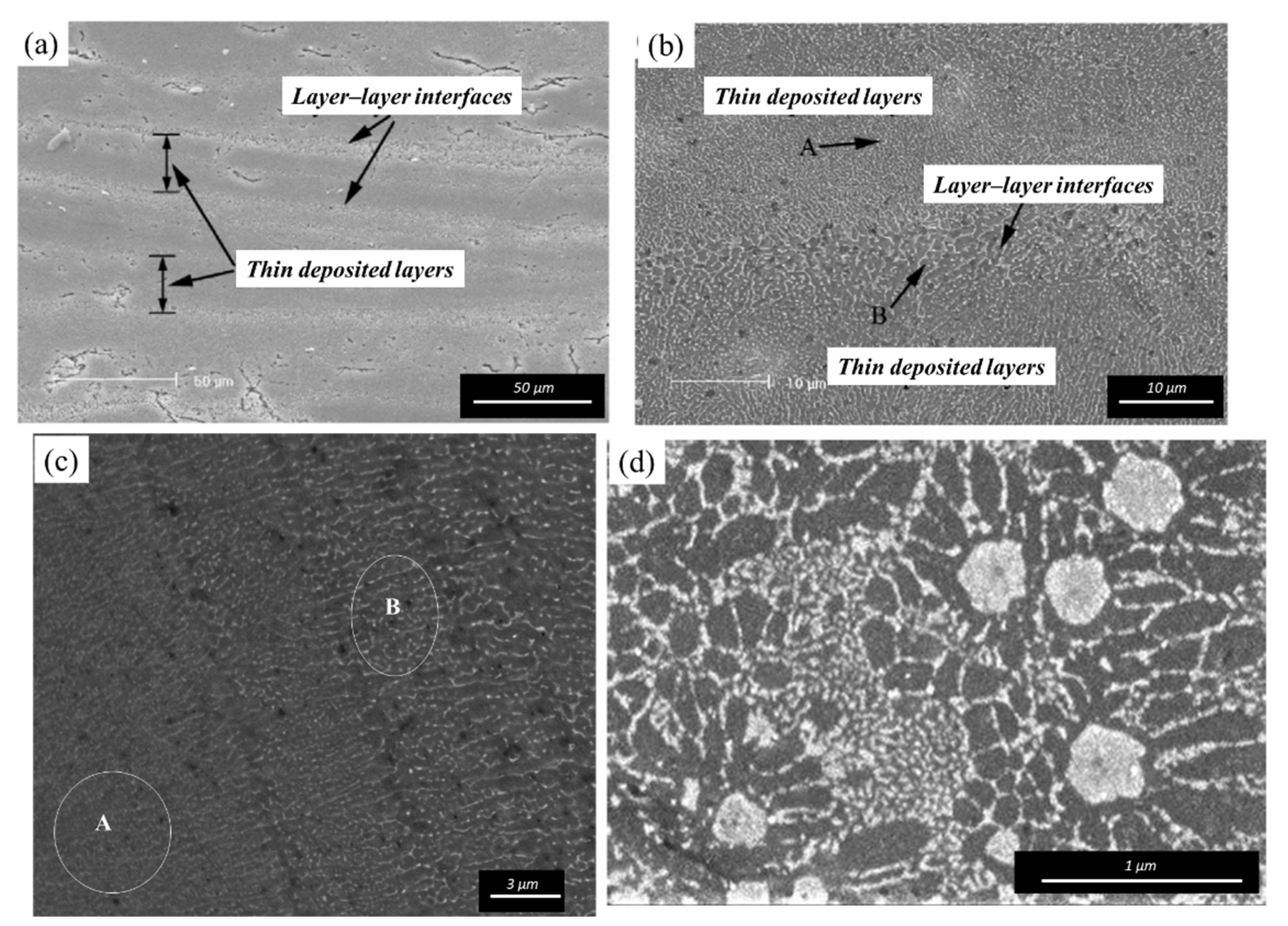 Coatings 12 01536 g008 Coatings 12 01536 g008