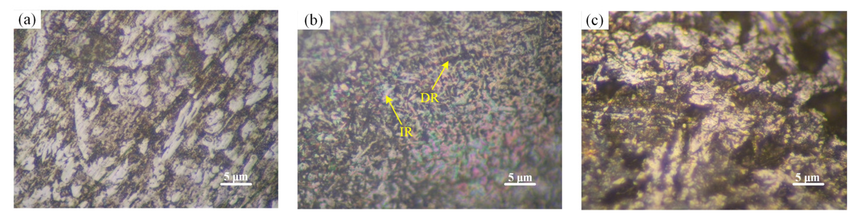 Coatings 12 01537 g013