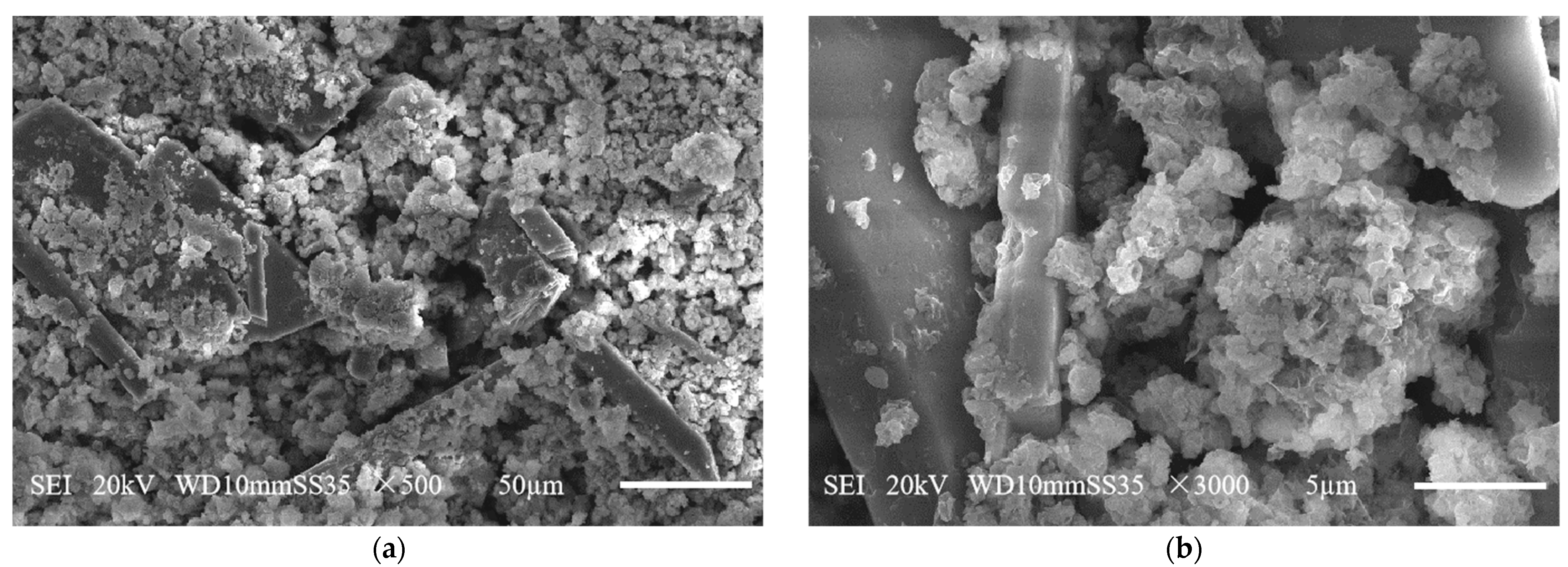 Coatings 12 01539 g002 Coatings 12 01539 g002