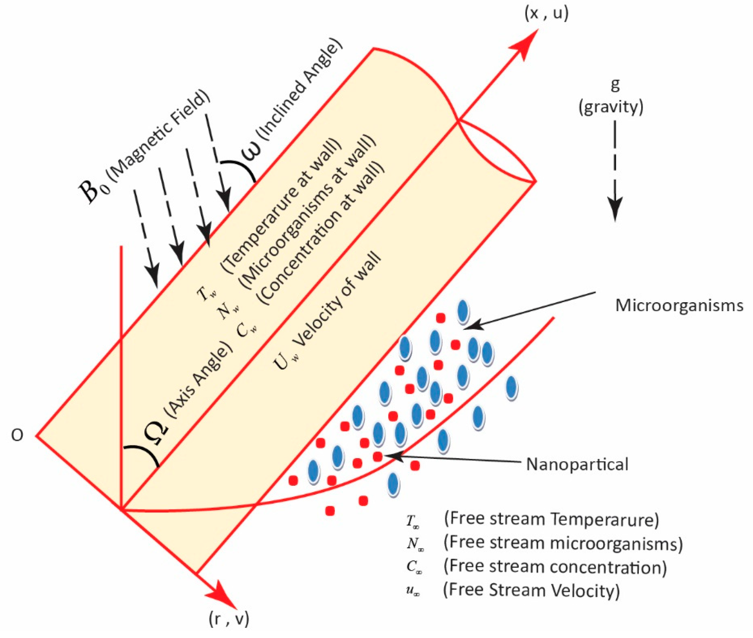 Coatings 12 01560 g001 Coatings 12 01560 g001