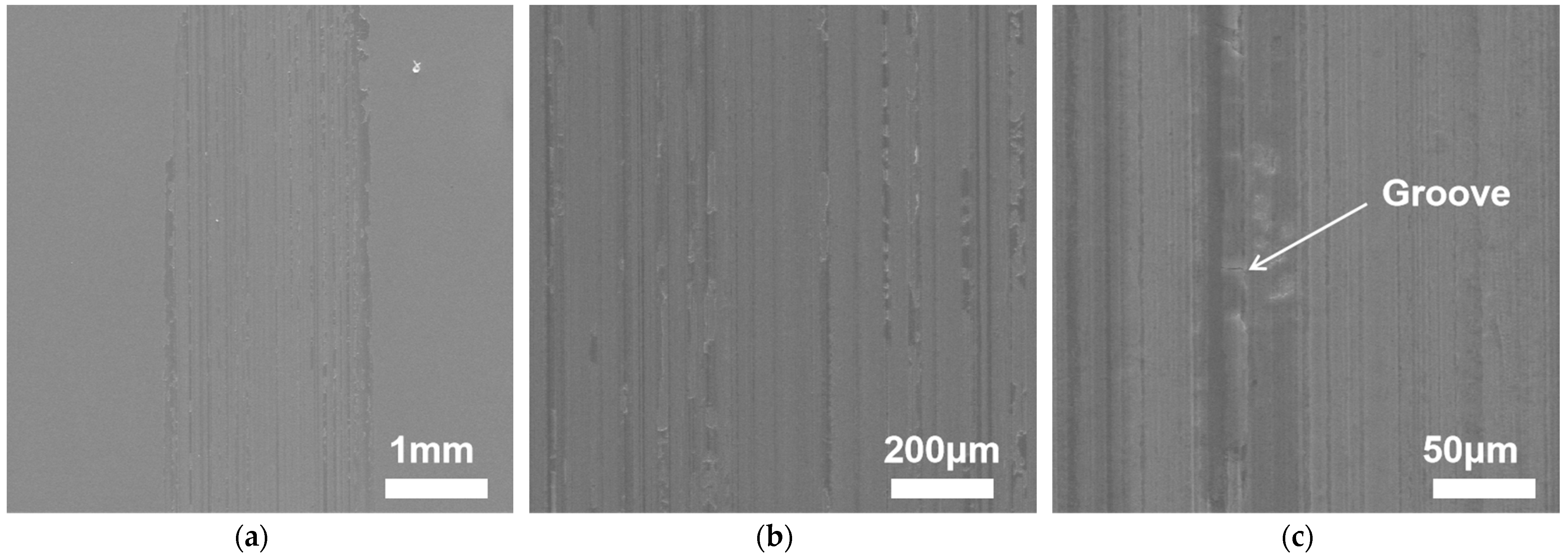 Coatings 12 01561 g005