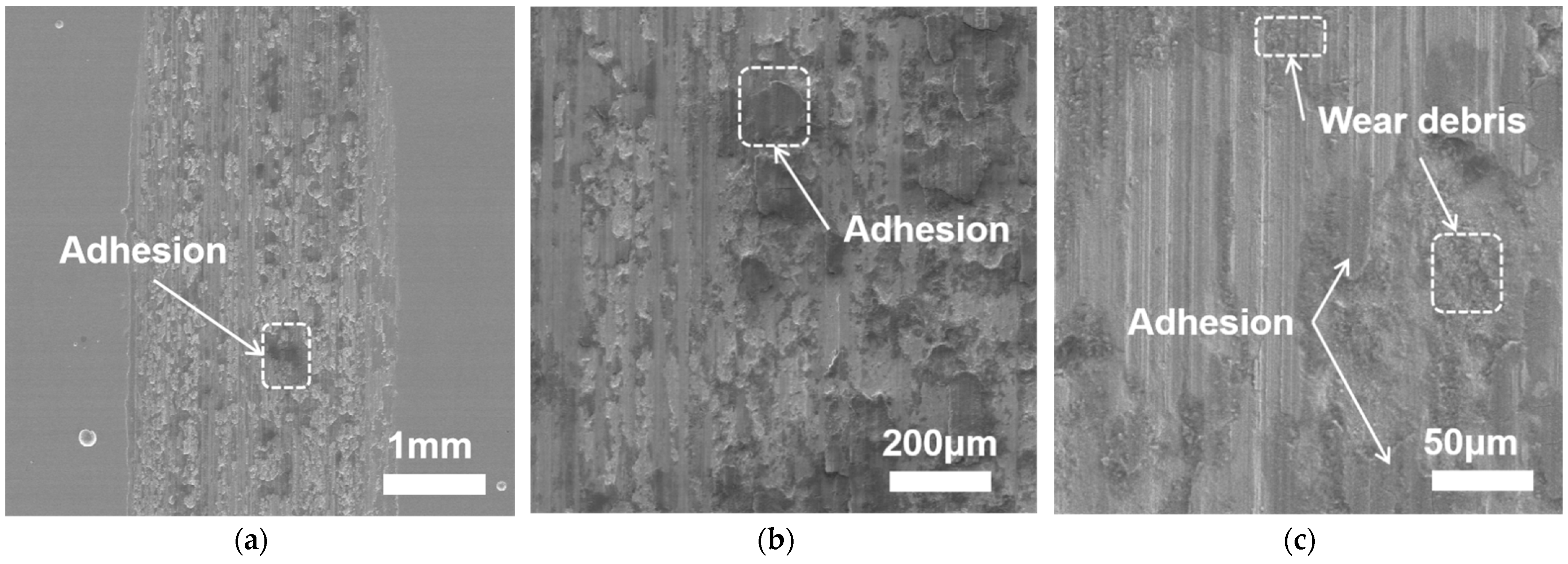 Coatings 12 01561 g006
