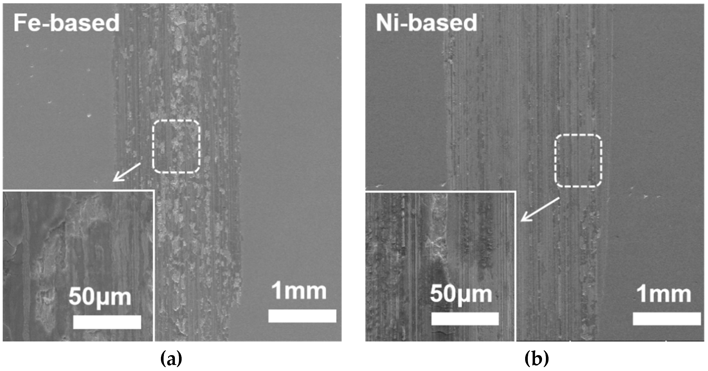 Coatings 12 01561 g009
