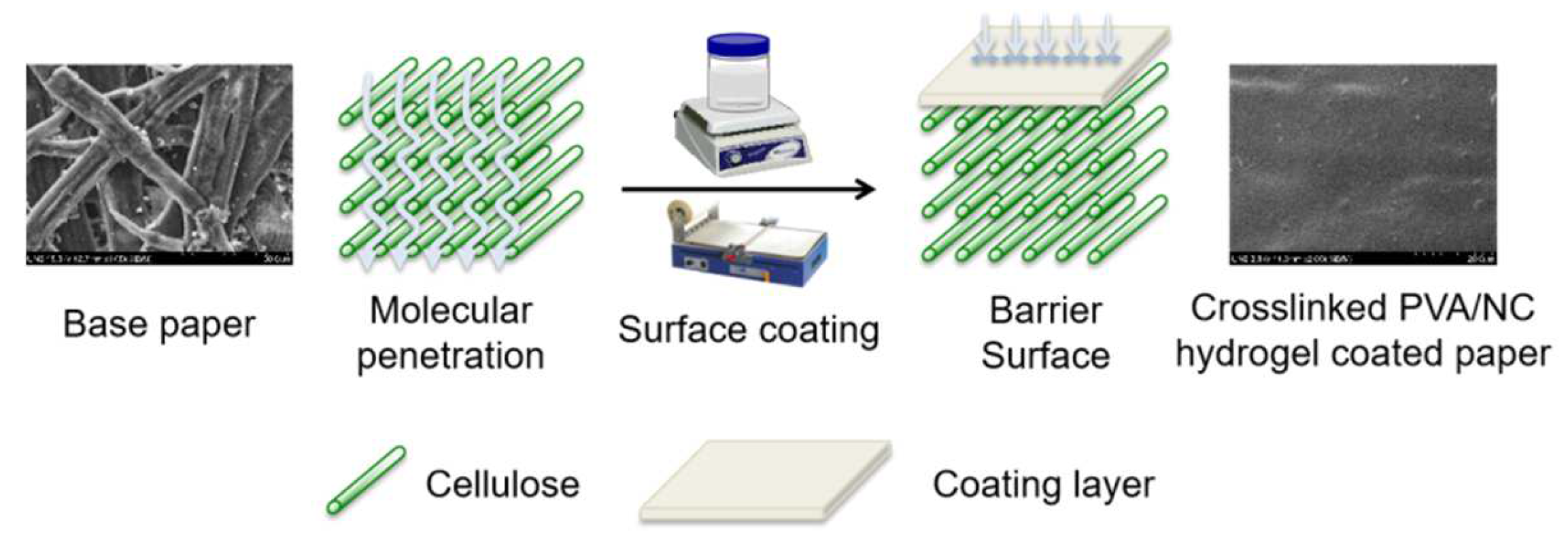 Coatings 12 01562 g001 Coatings 12 01562 g001