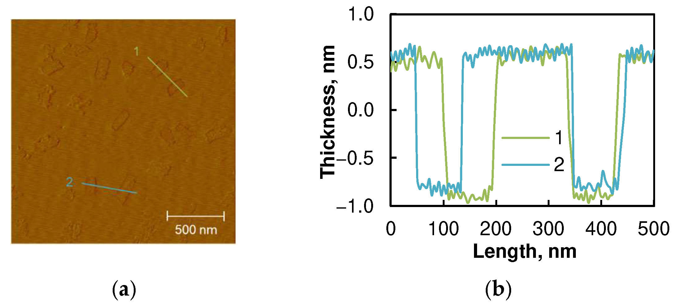 Coatings 12 01562 g003 Coatings 12 01562 g003