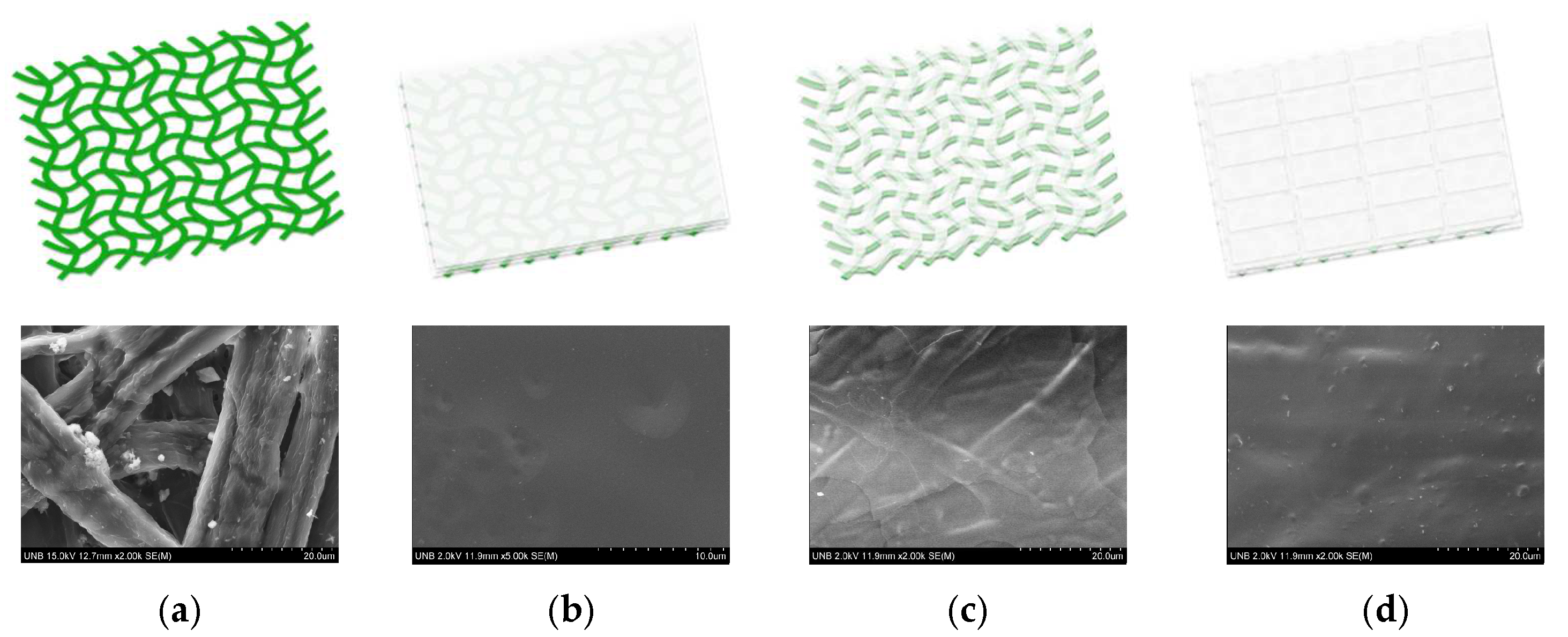 Coatings 12 01562 g005 Coatings 12 01562 g005
