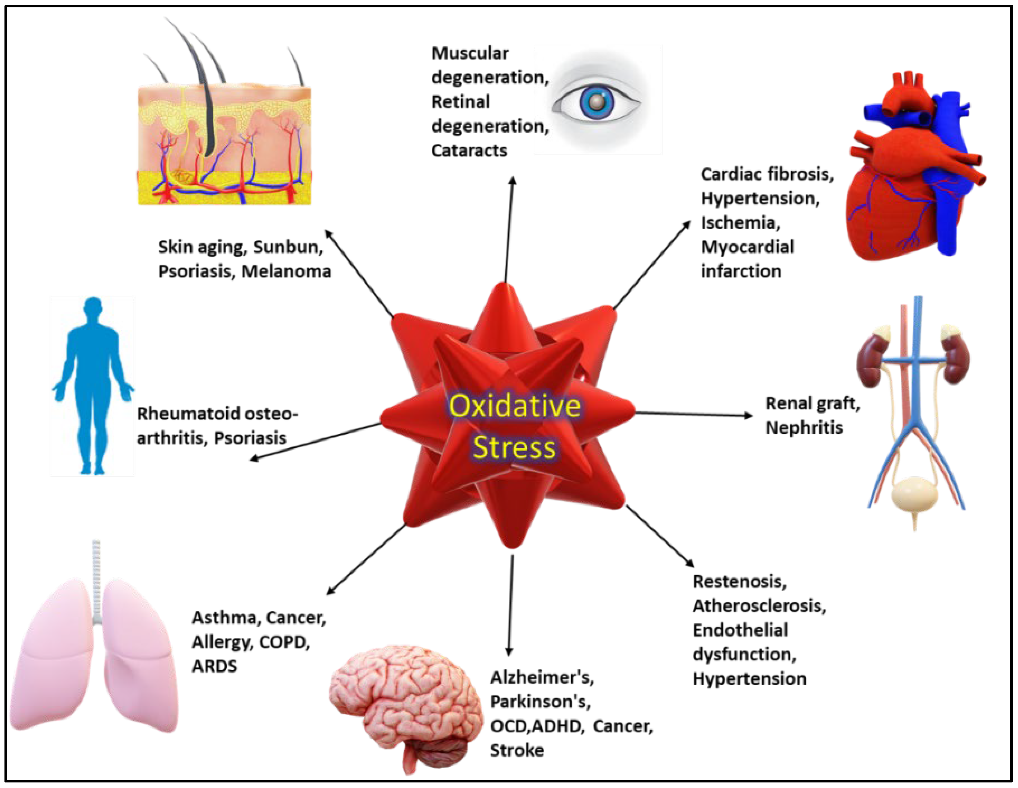 Coatings 12 01568 g001 Coatings 12 01568 g001
