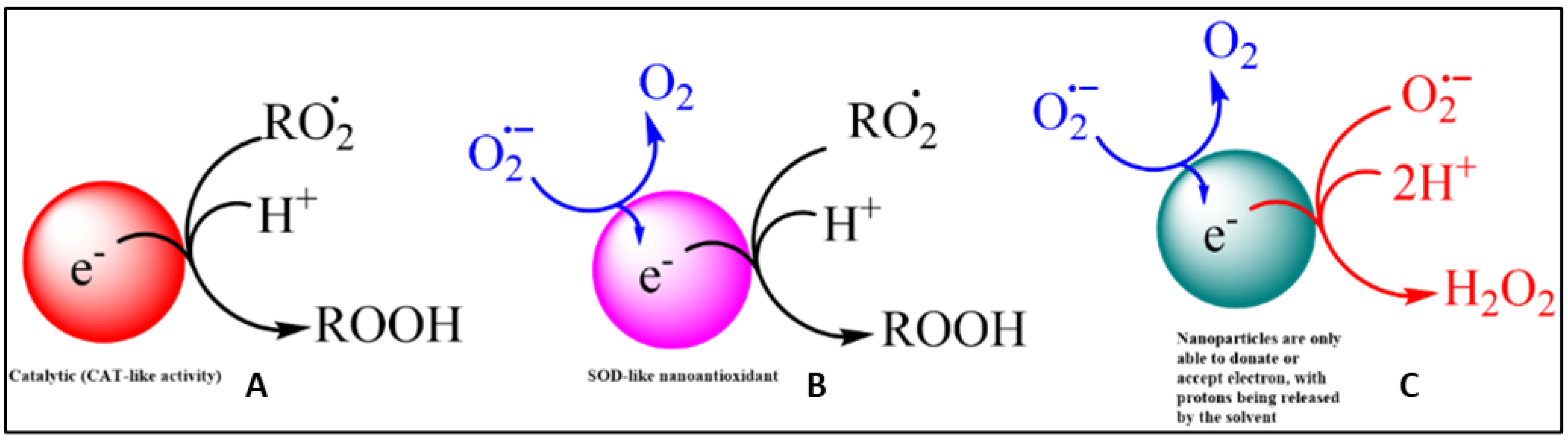 Coatings 12 01568 g005 Coatings 12 01568 g005