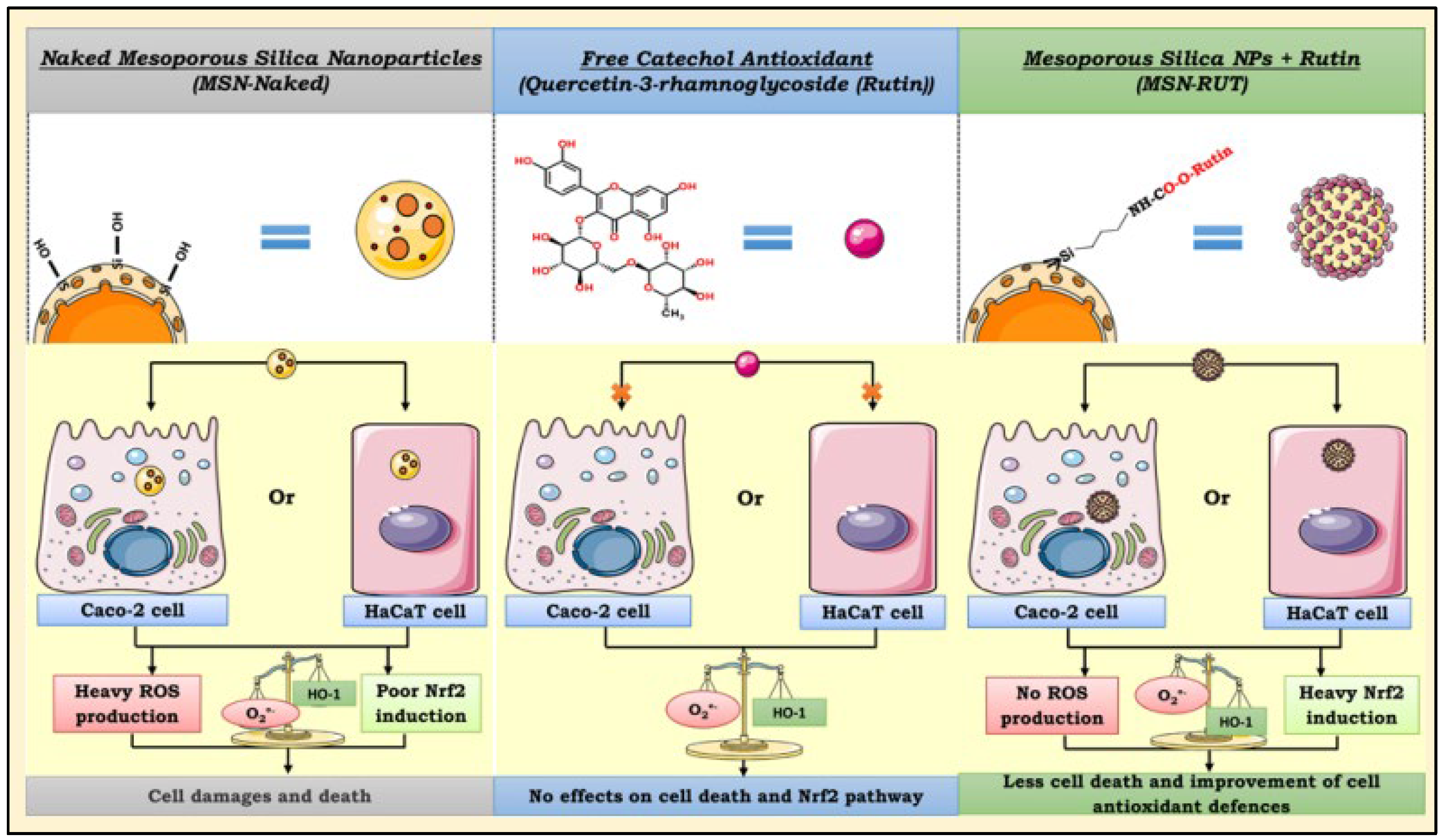 Coatings 12 01568 g010 Coatings 12 01568 g010