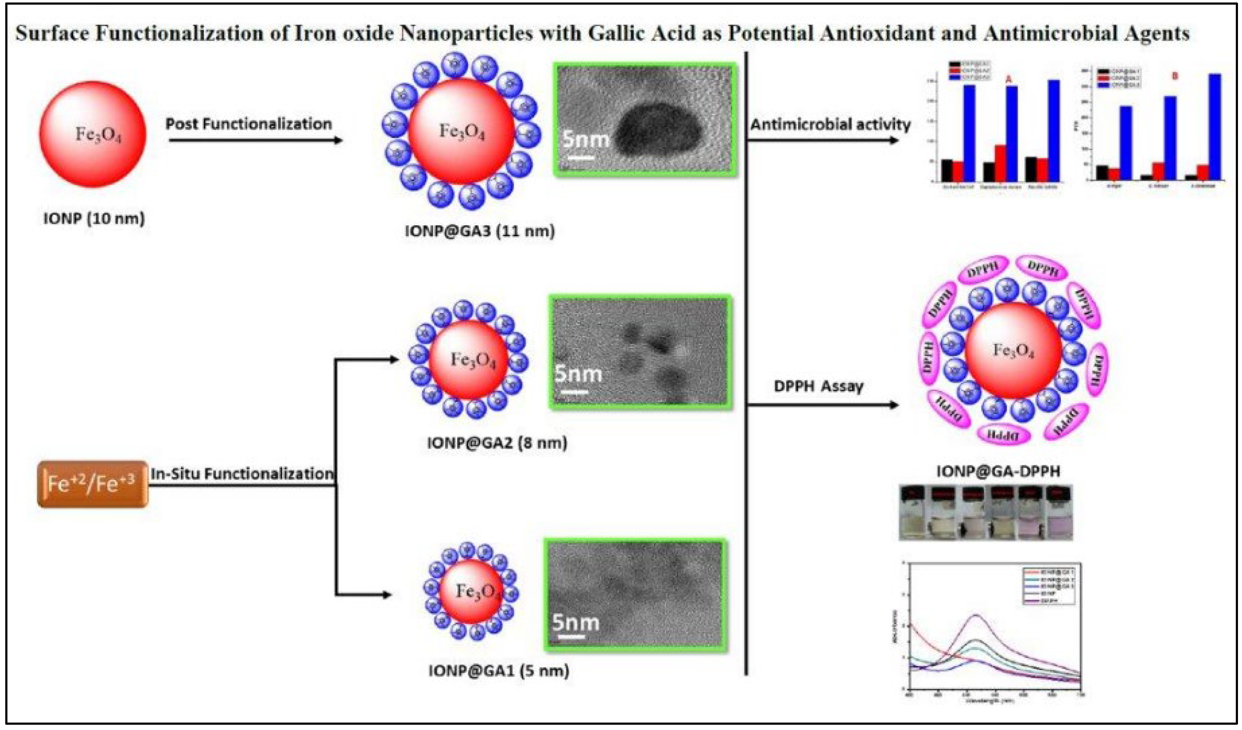 Coatings 12 01568 g011 Coatings 12 01568 g011
