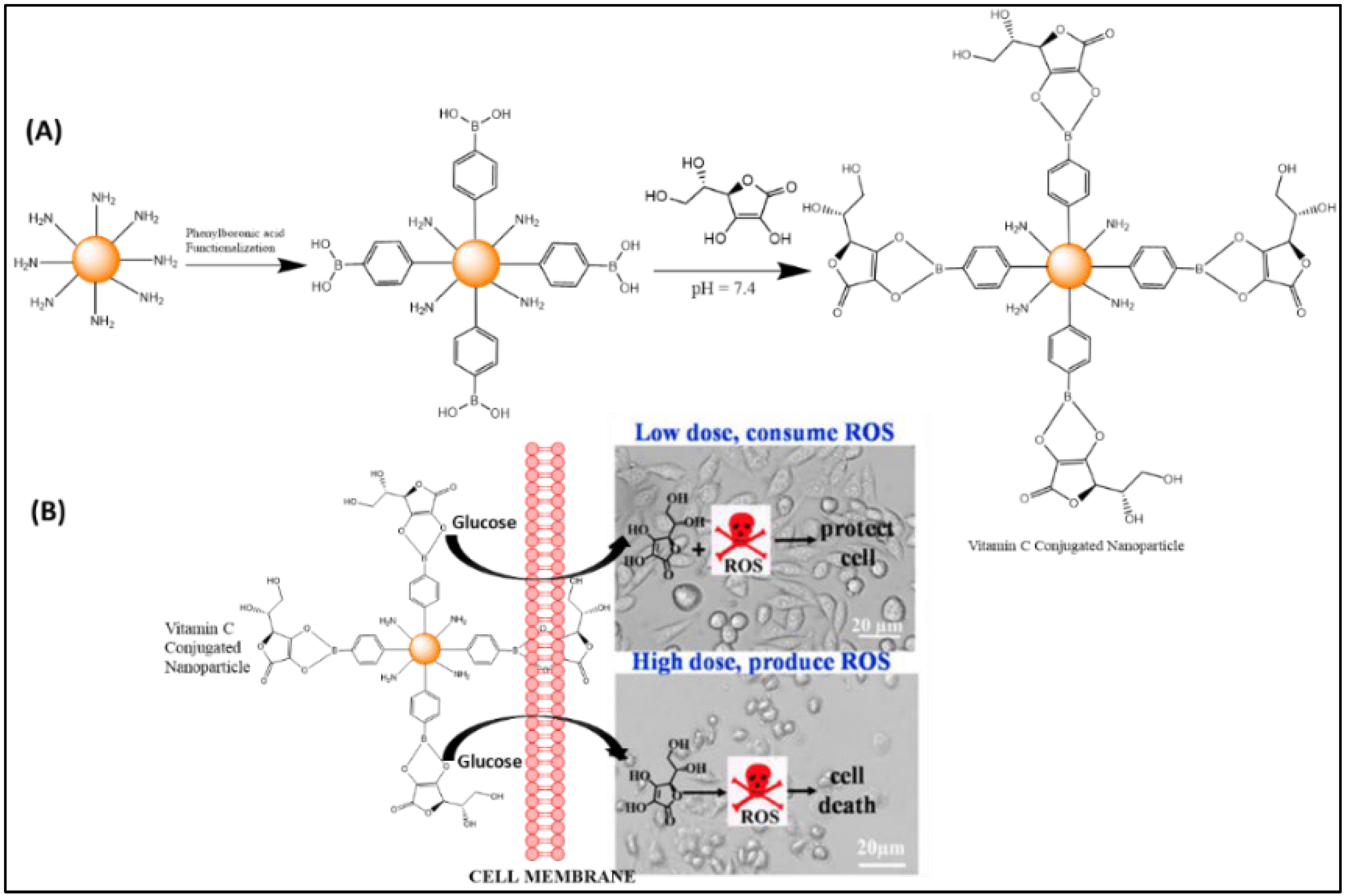 Coatings 12 01568 g012 Coatings 12 01568 g012