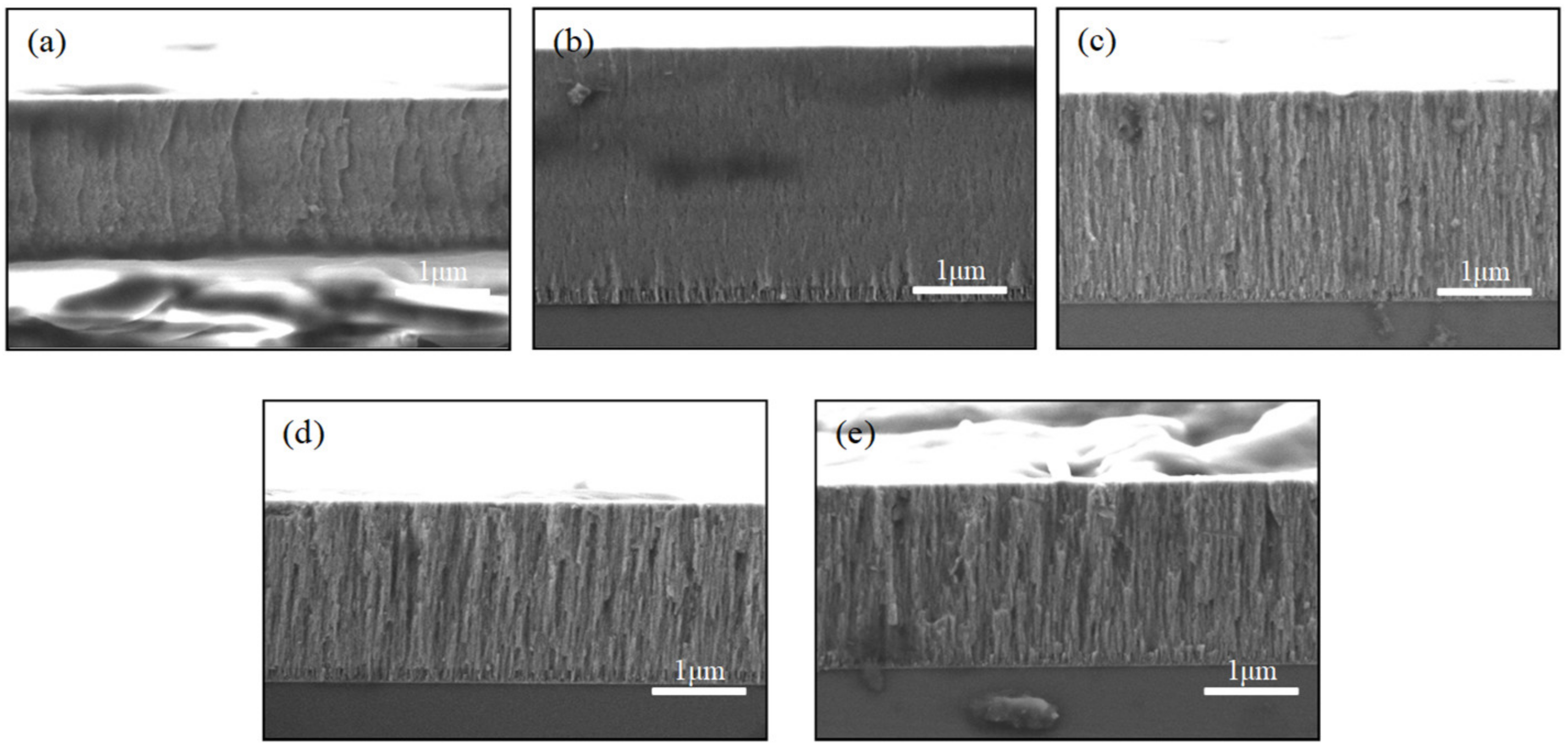 Coatings 12 01576 g003 Coatings 12 01576 g003