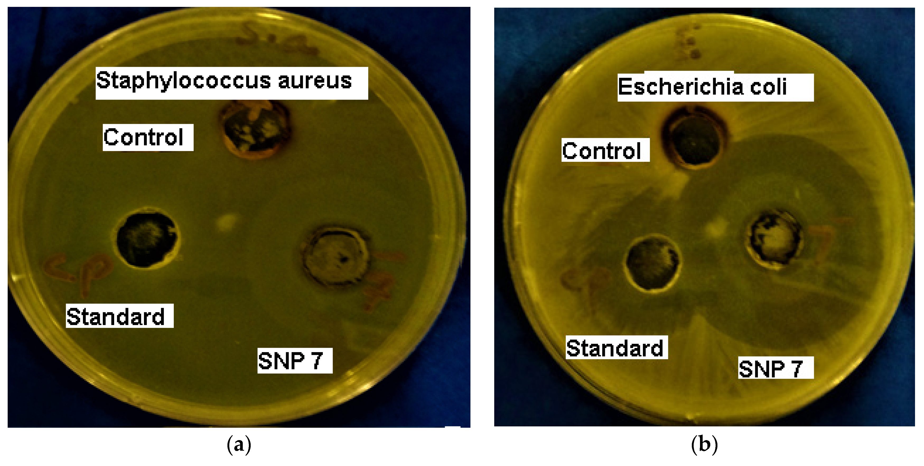 Coatings 12 01579 g014 Coatings 12 01579 g014