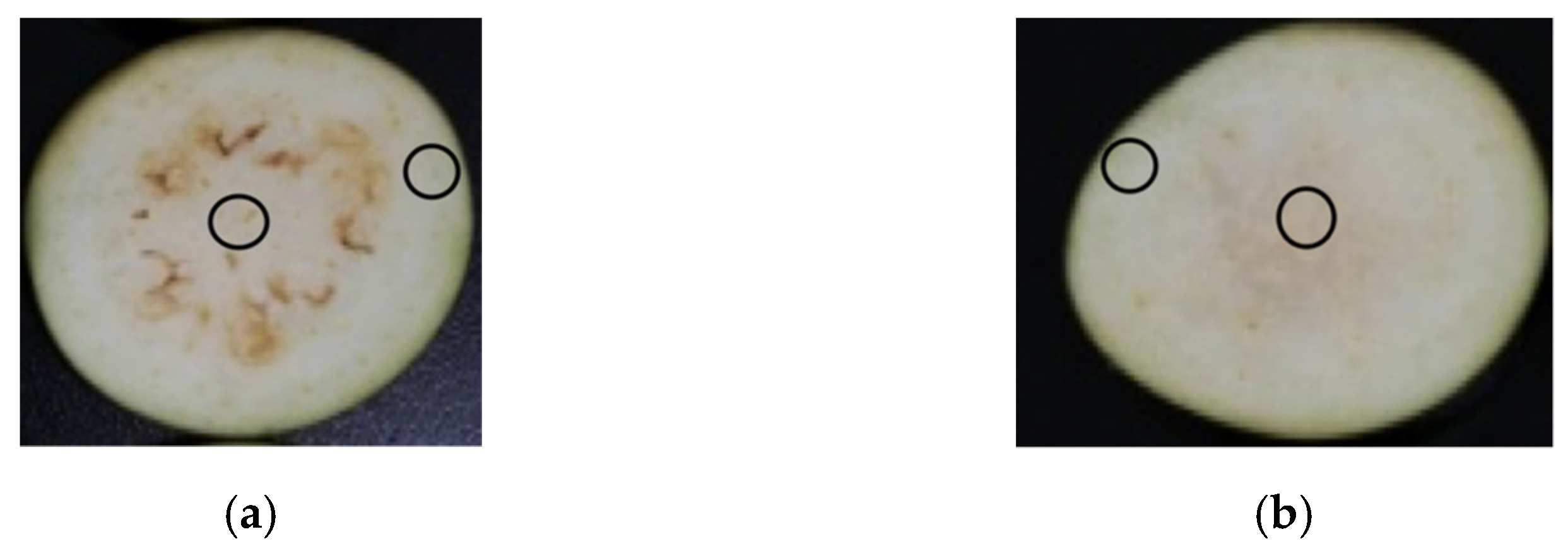 Coatings 12 01580 g001 Coatings 12 01580 g001