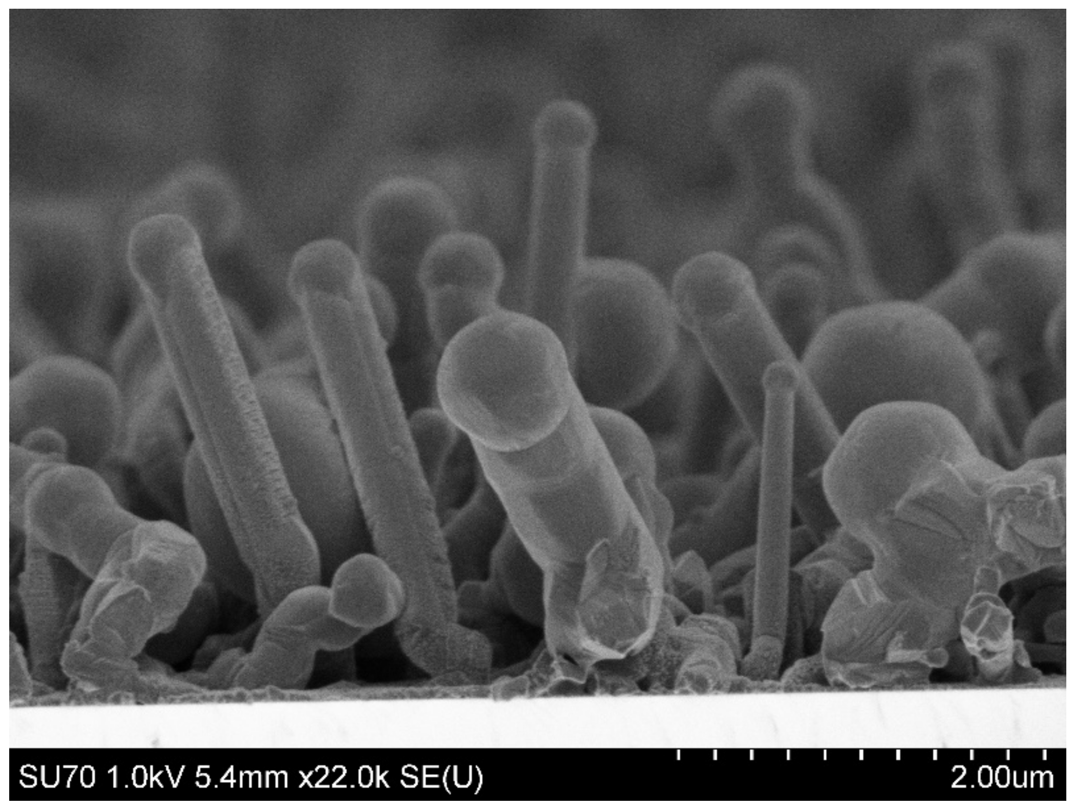 Coatings 12 01581 g002 Coatings 12 01581 g002