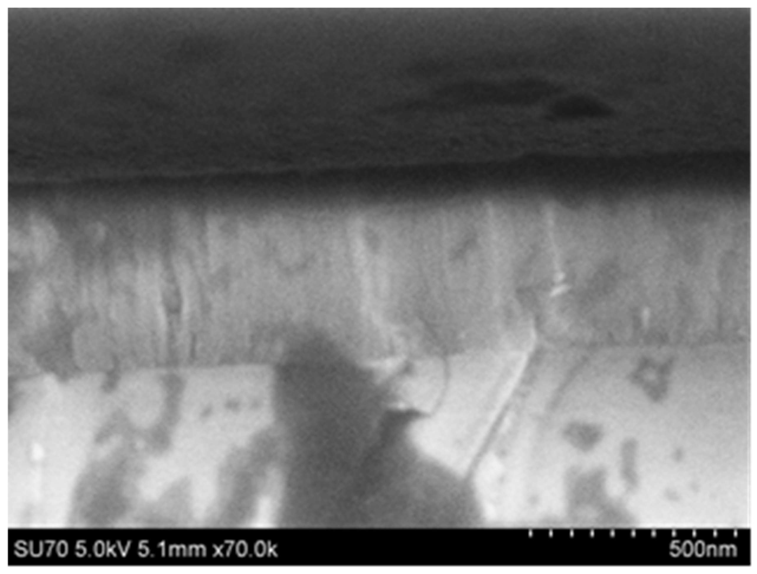 Coatings 12 01581 g008 Coatings 12 01581 g008