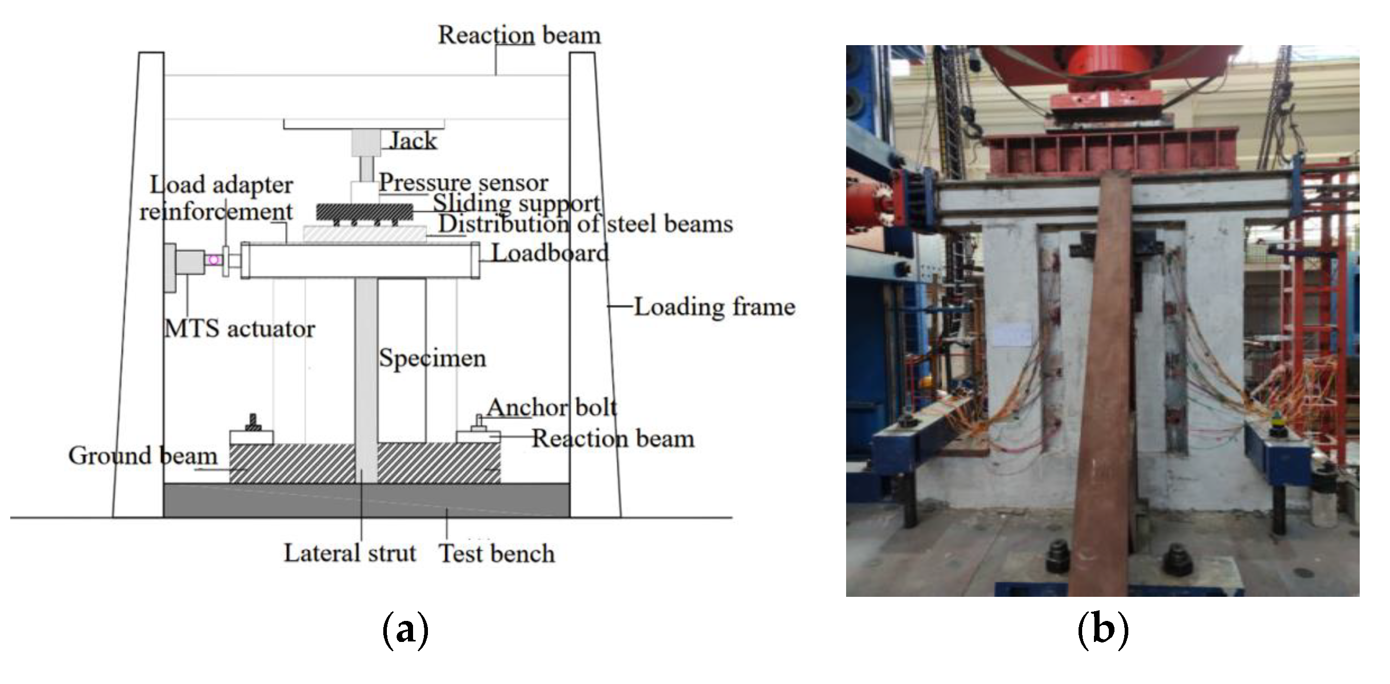 Coatings 12 01584 g004 550