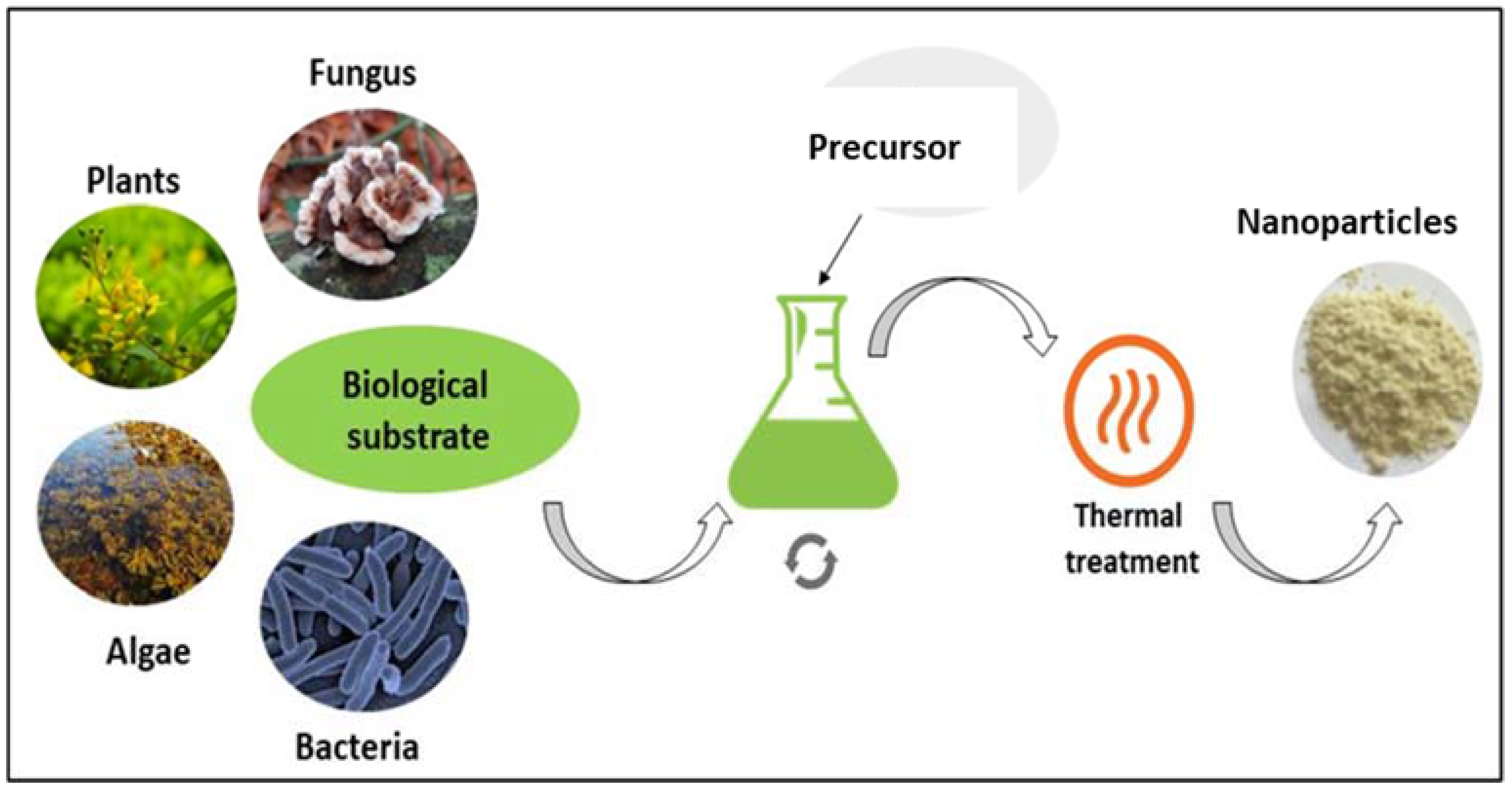 Coatings 12 01586 g001