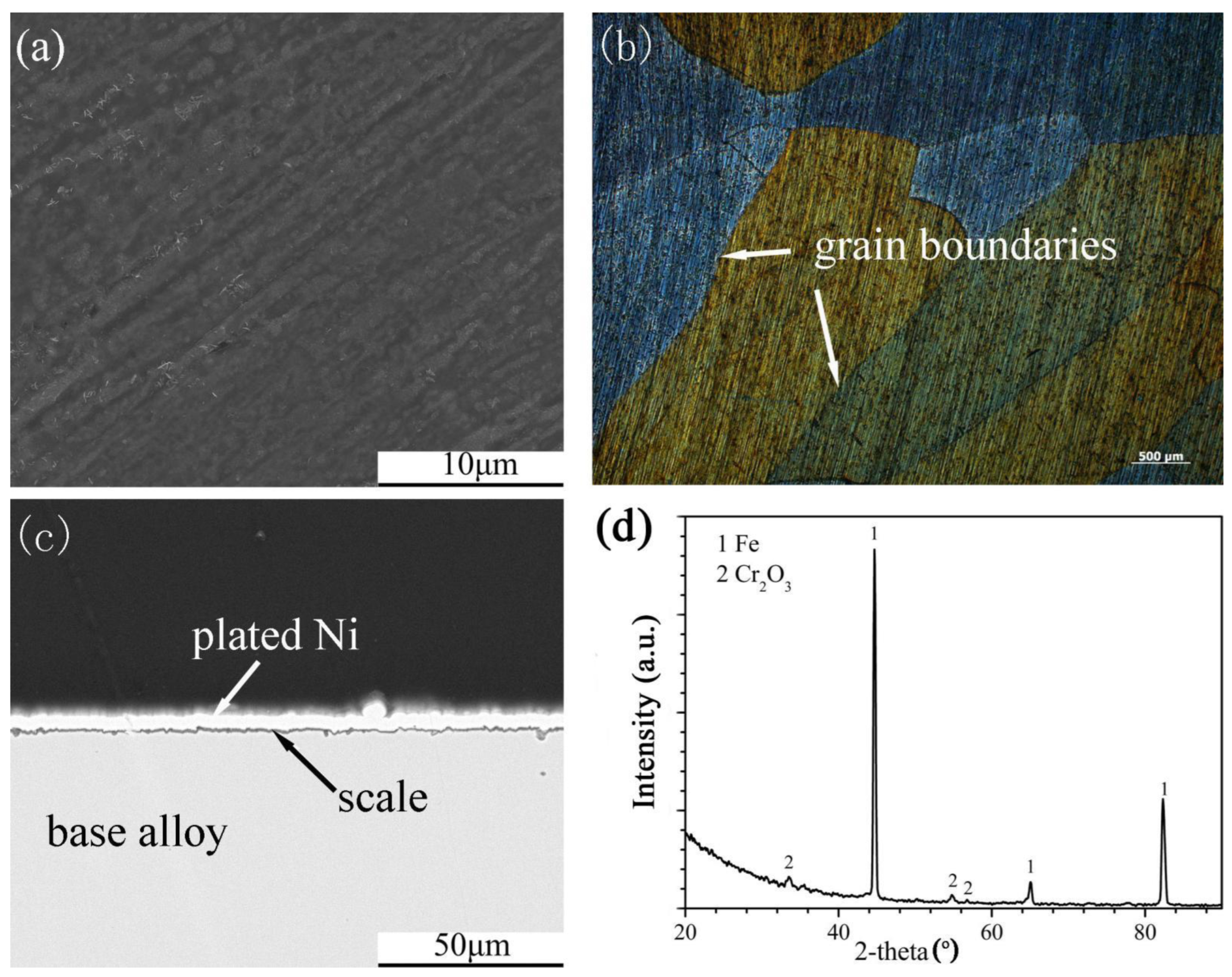 Coatings 12 01588 g005 Coatings 12 01588 g005