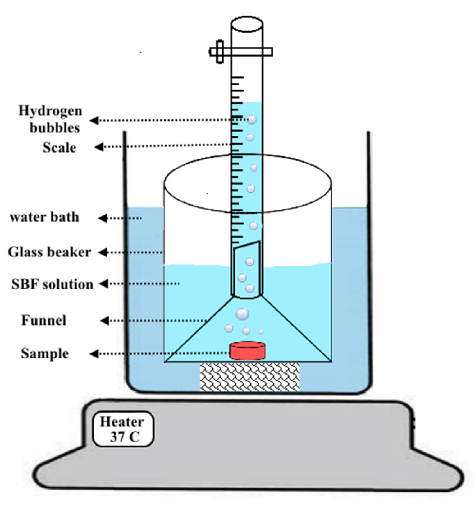 Coatings 12 01589 g002