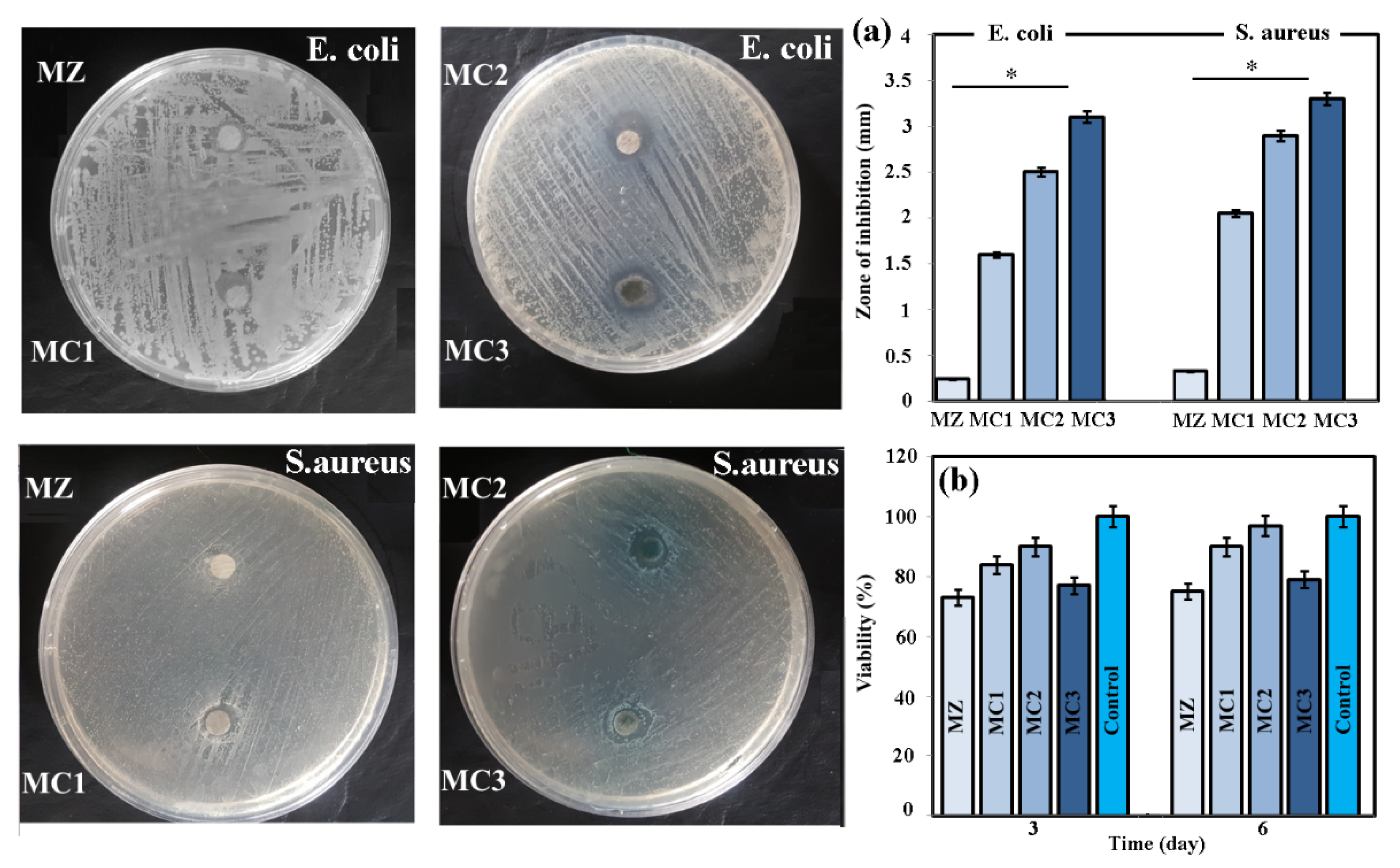 Coatings 12 01589 g011