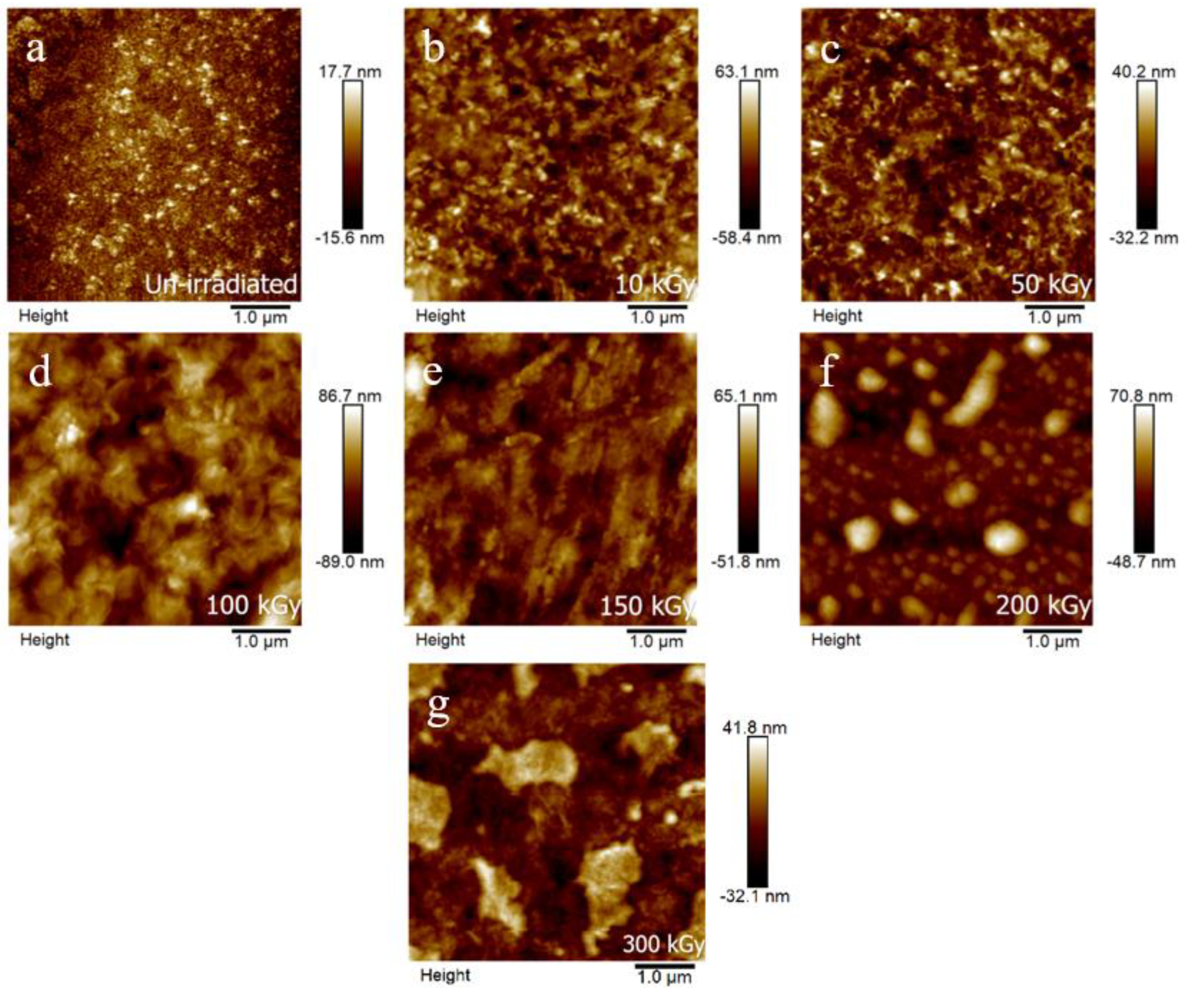 Coatings 12 01590 g005 Coatings 12 01590 g005