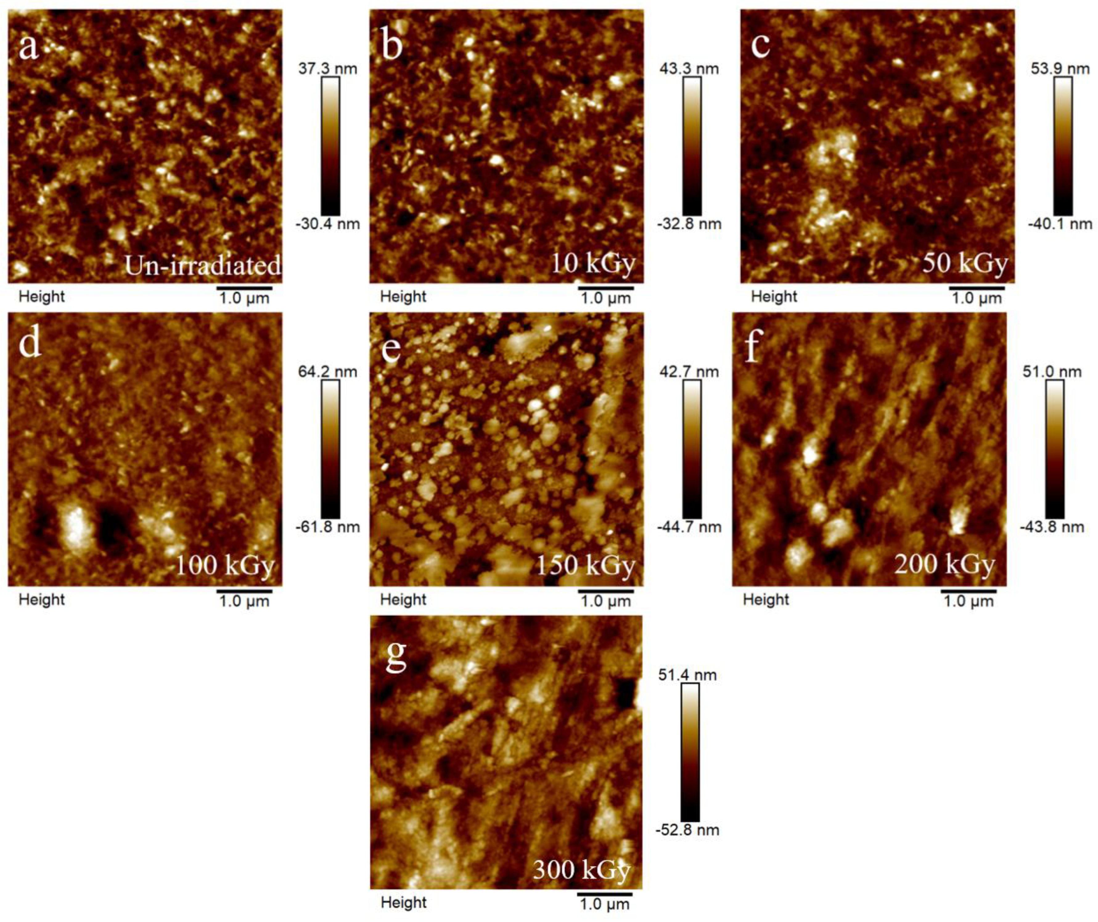 Coatings 12 01590 g006 Coatings 12 01590 g006