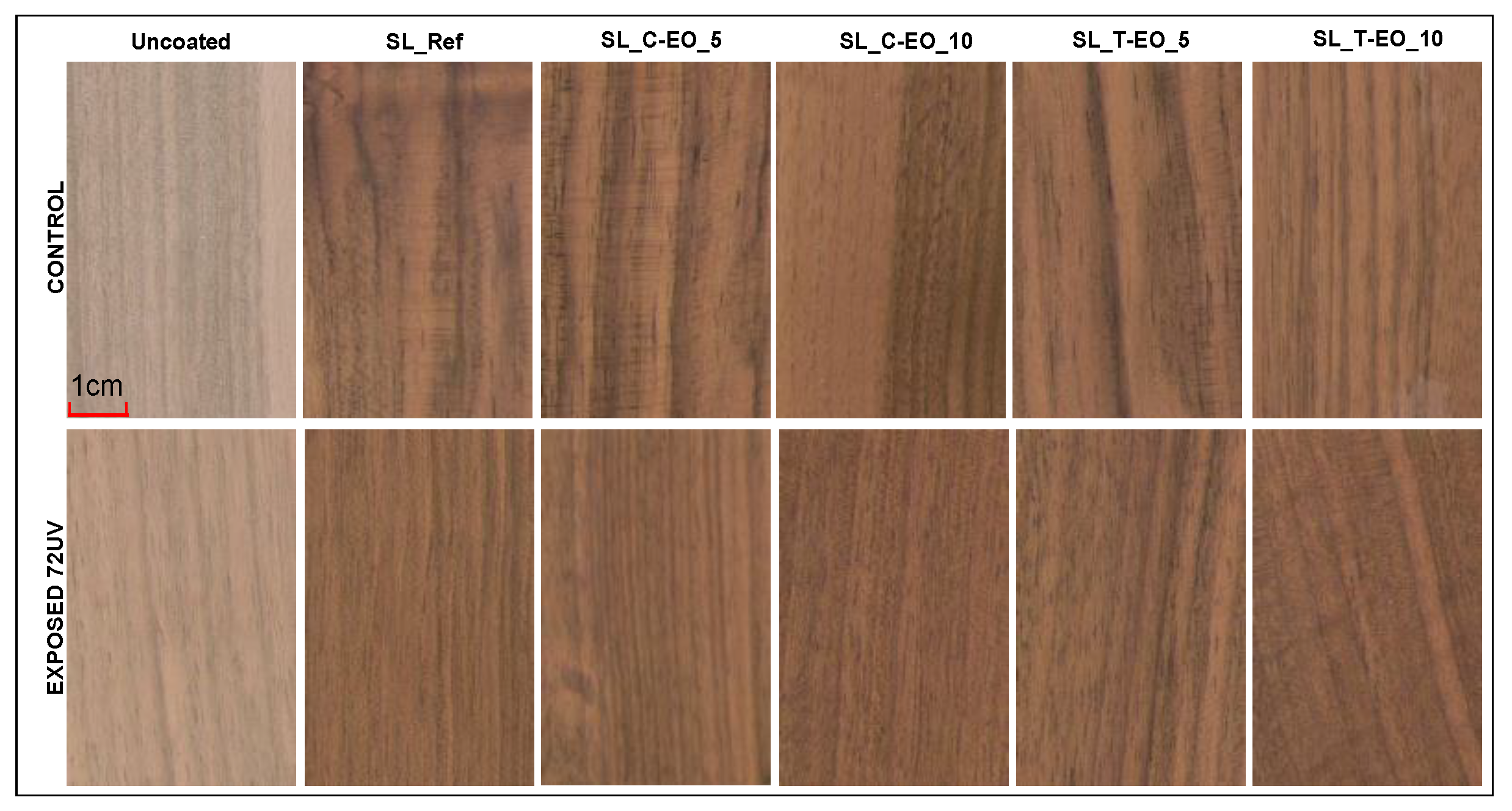 Coatings 12 01591 g005