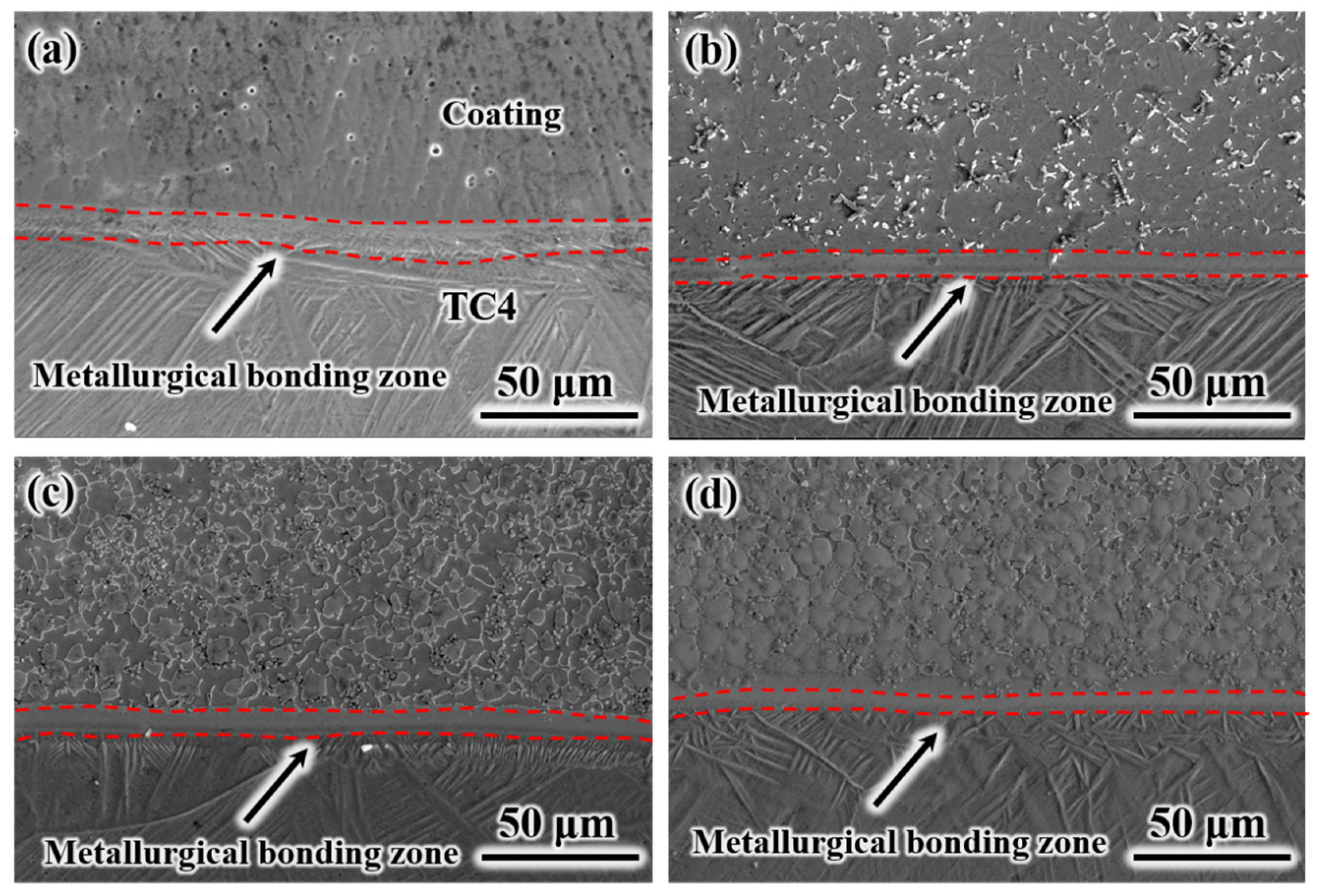 Coatings 12 01593 g002 Coatings 12 01593 g002